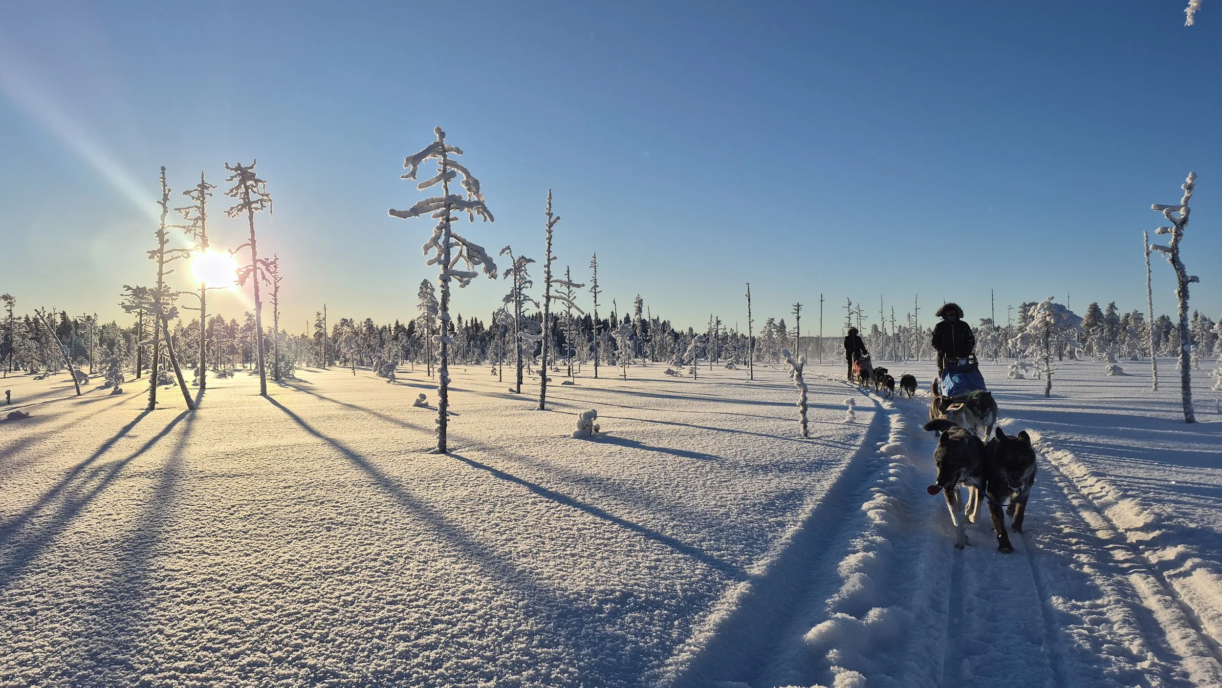 Panoramatrails 2.jpg