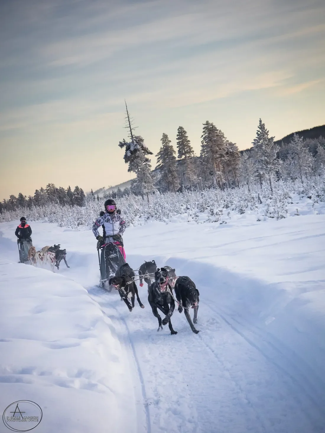 hiver-attelage.webp