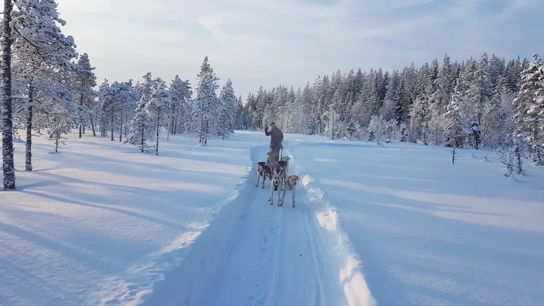 traineau-piste.webp