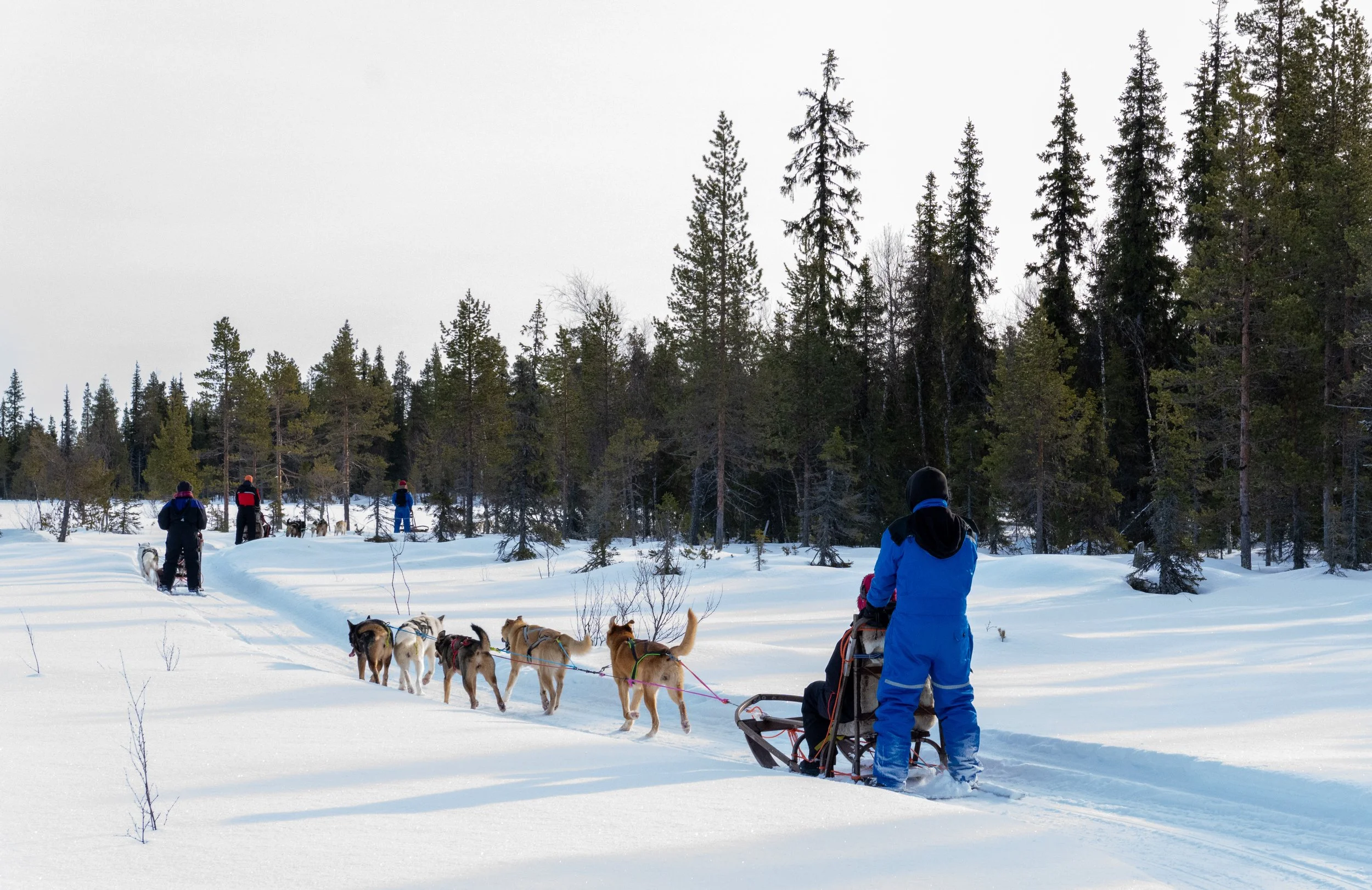 lapland-46.jpeg