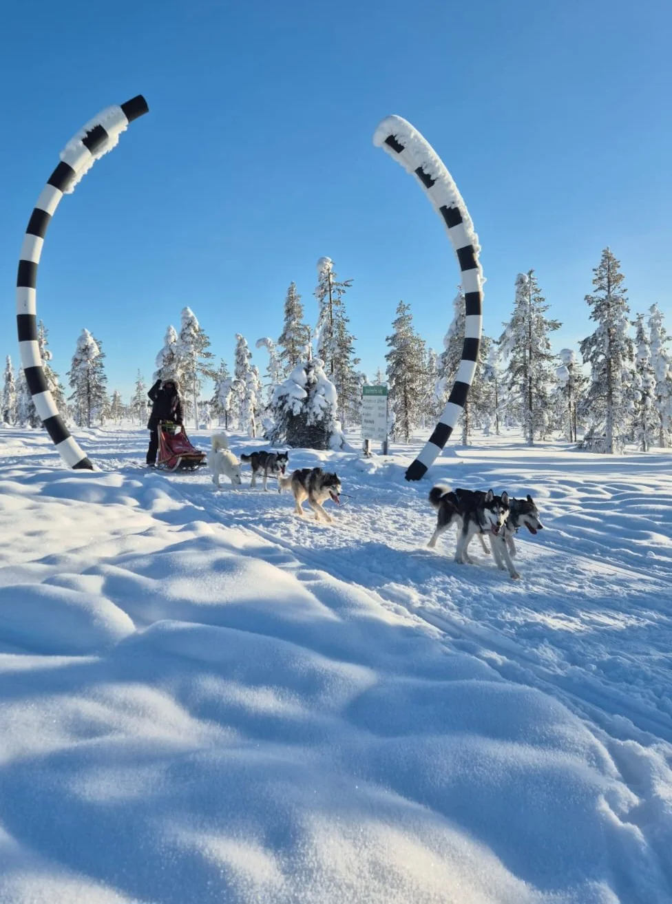 Huskytour zum Polarkreis - Exklusive Tour mit eigenem Huskyteam