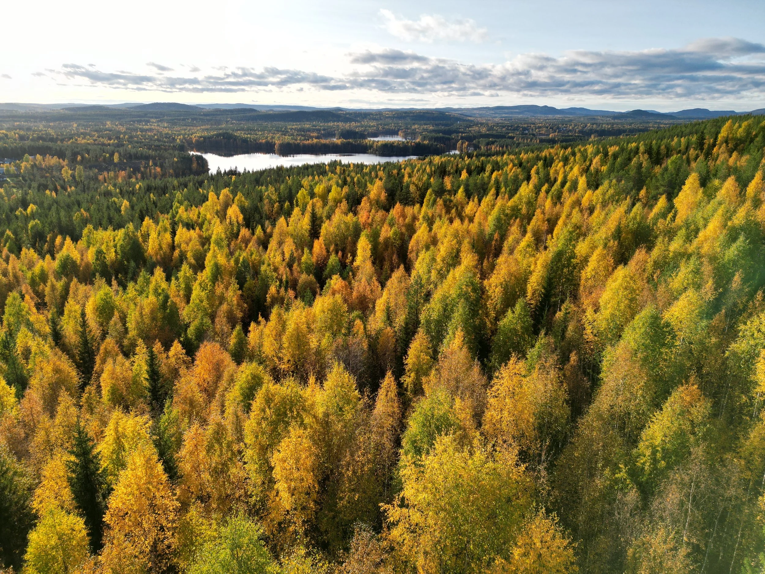 DJI_0652.JPG