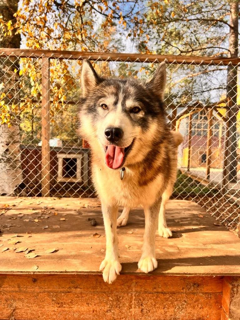 kennel visit_autumn.jpg