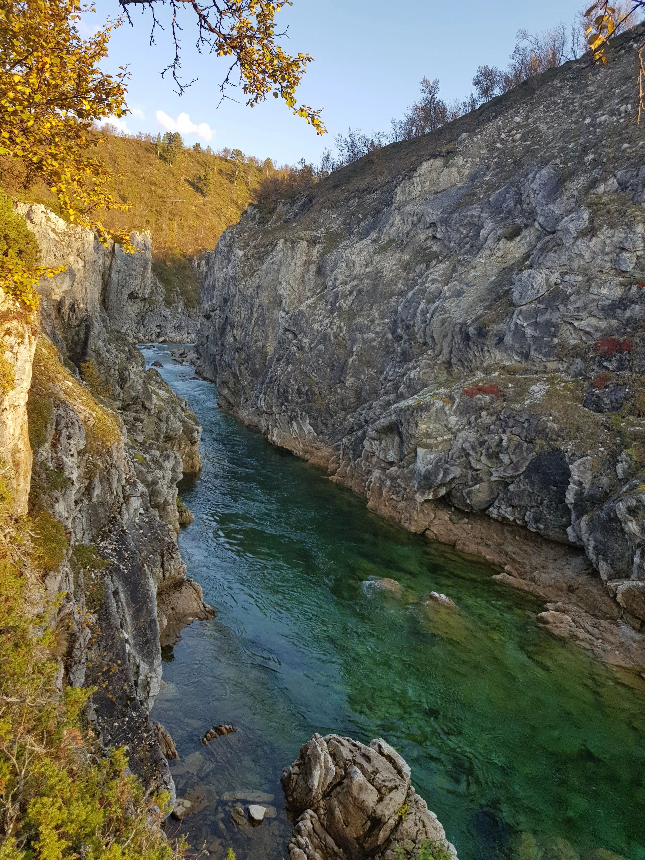20180910_165303.jpg