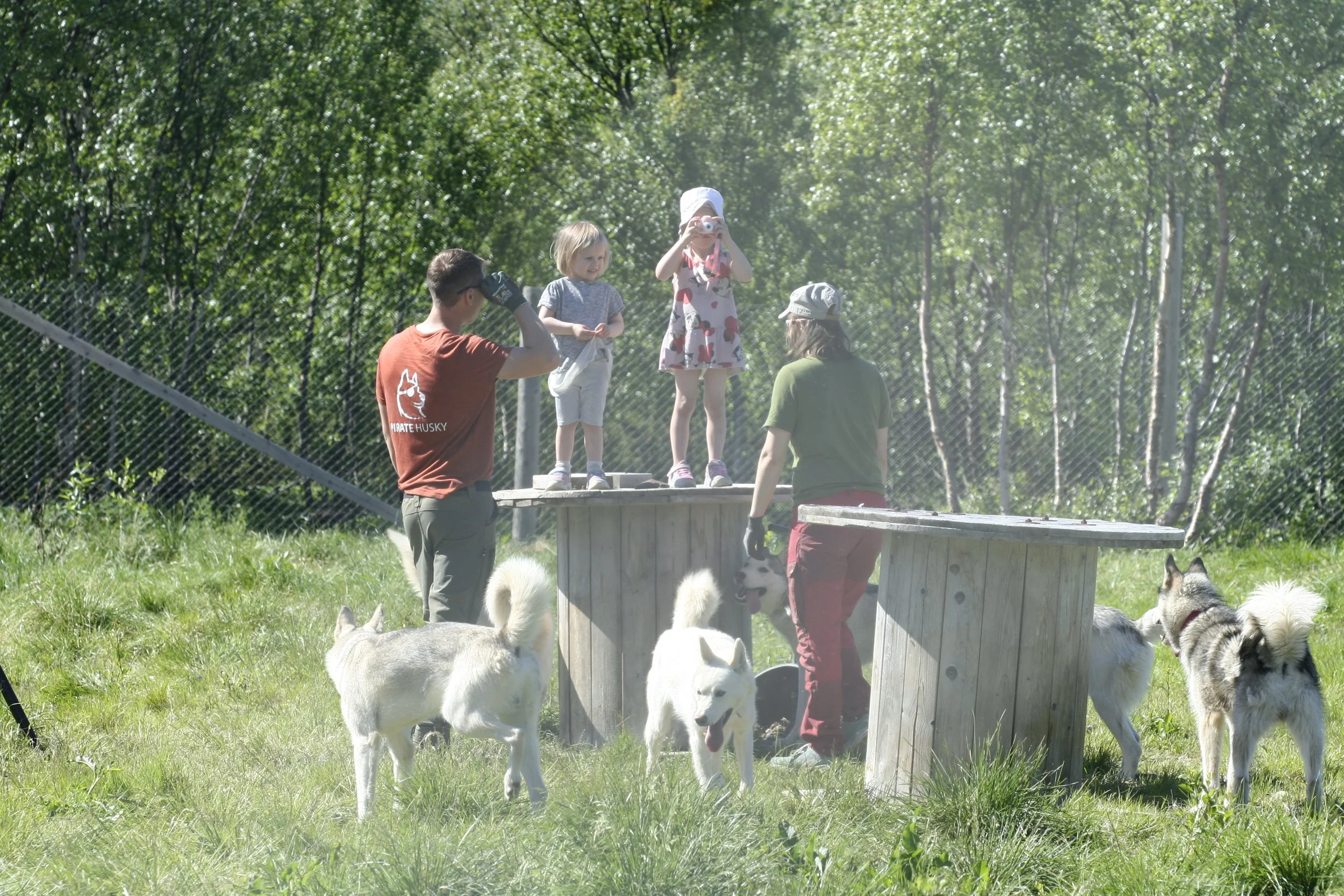 _MG_3228.JPG