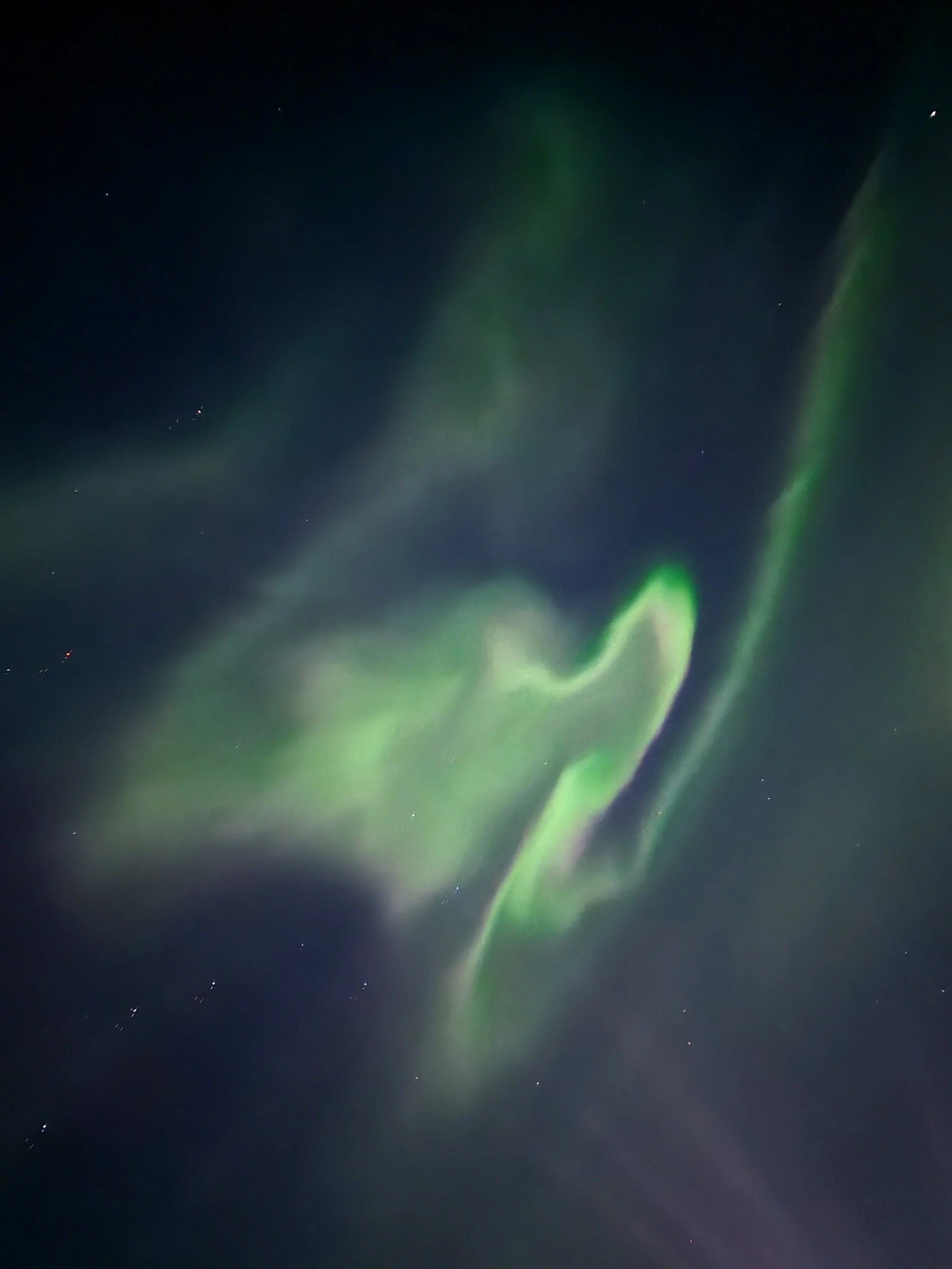 20250312_211120.jpg