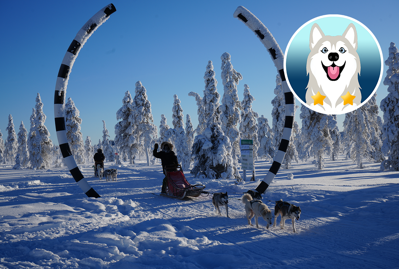 Huskytour zum Polarkreis - Exklusive Tour mit eigenem Huskyteam