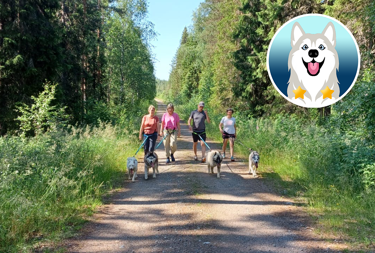Doghiking Gallejaur Tour - Huskys, Natur und Kultur