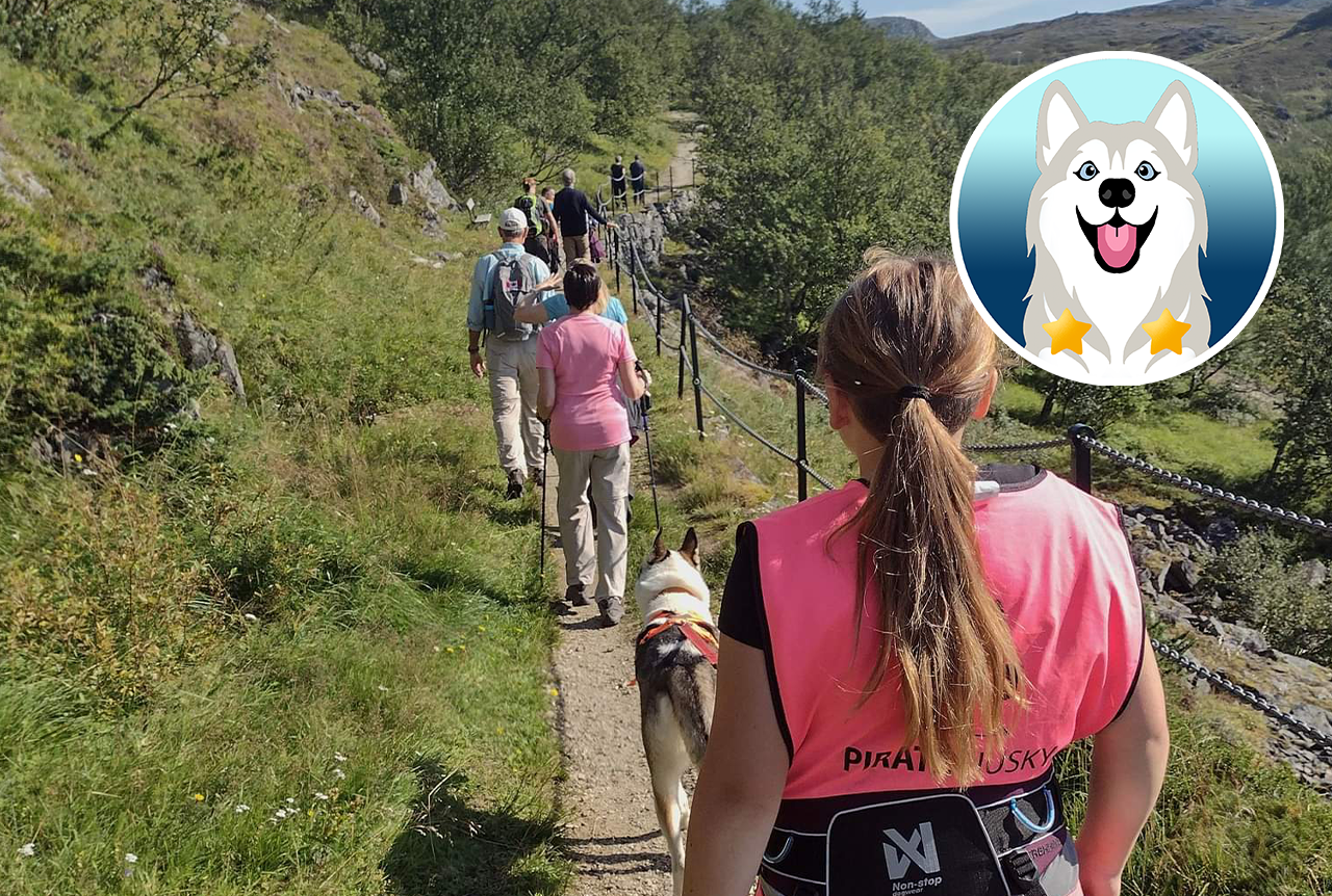 Wandern mit Huskys in Hammerfest