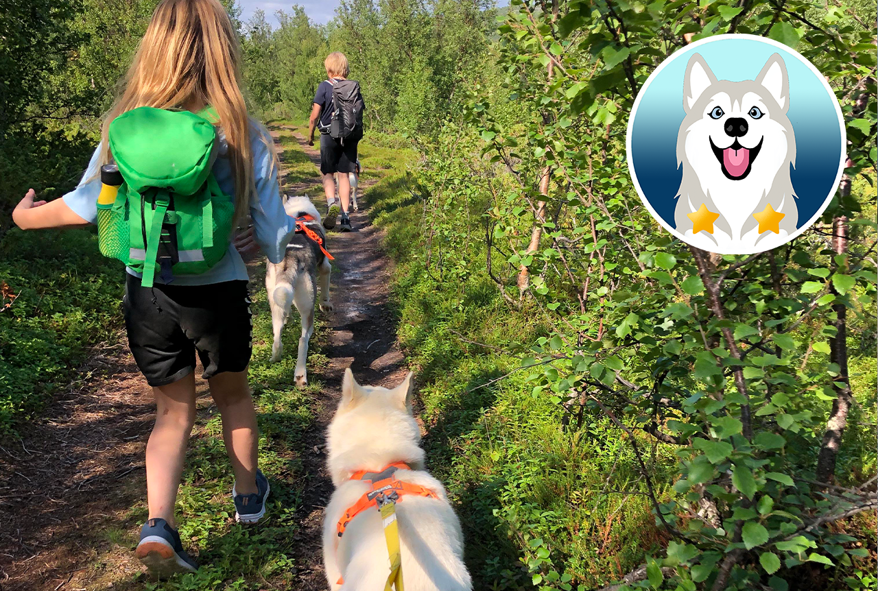 Wandern mit Huskys in der Arktis (Porsanger)