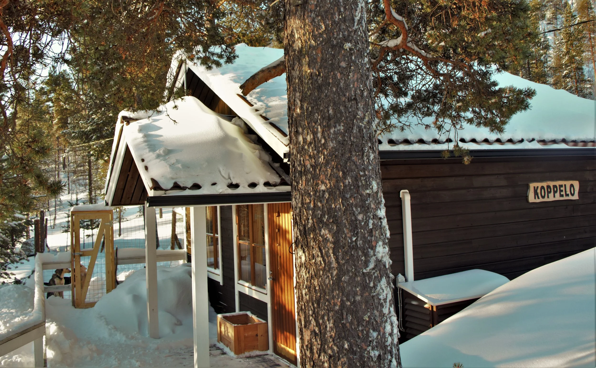 Hütte.jpg