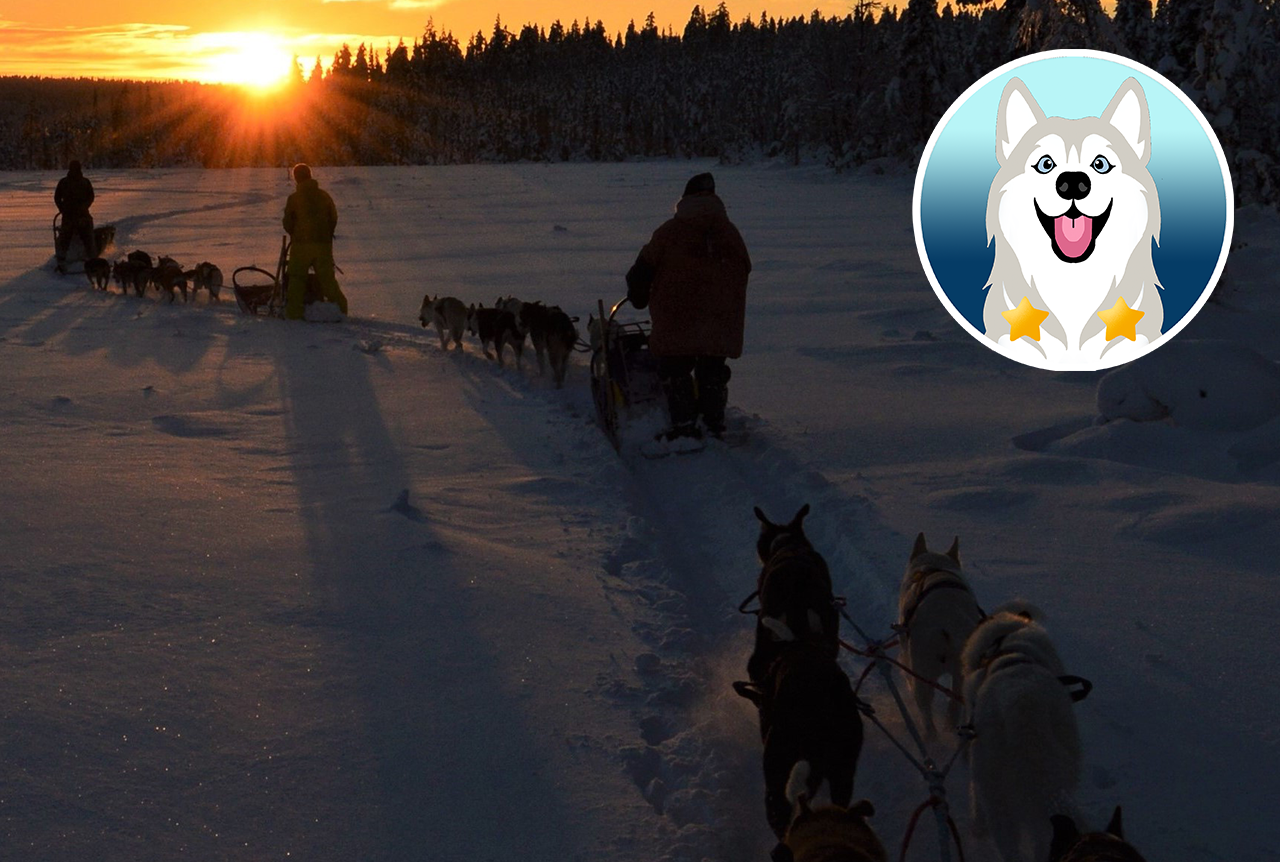 Mehrtägiges All-Inklusiv Husky-Erlebnis in Finnisch Lappland
