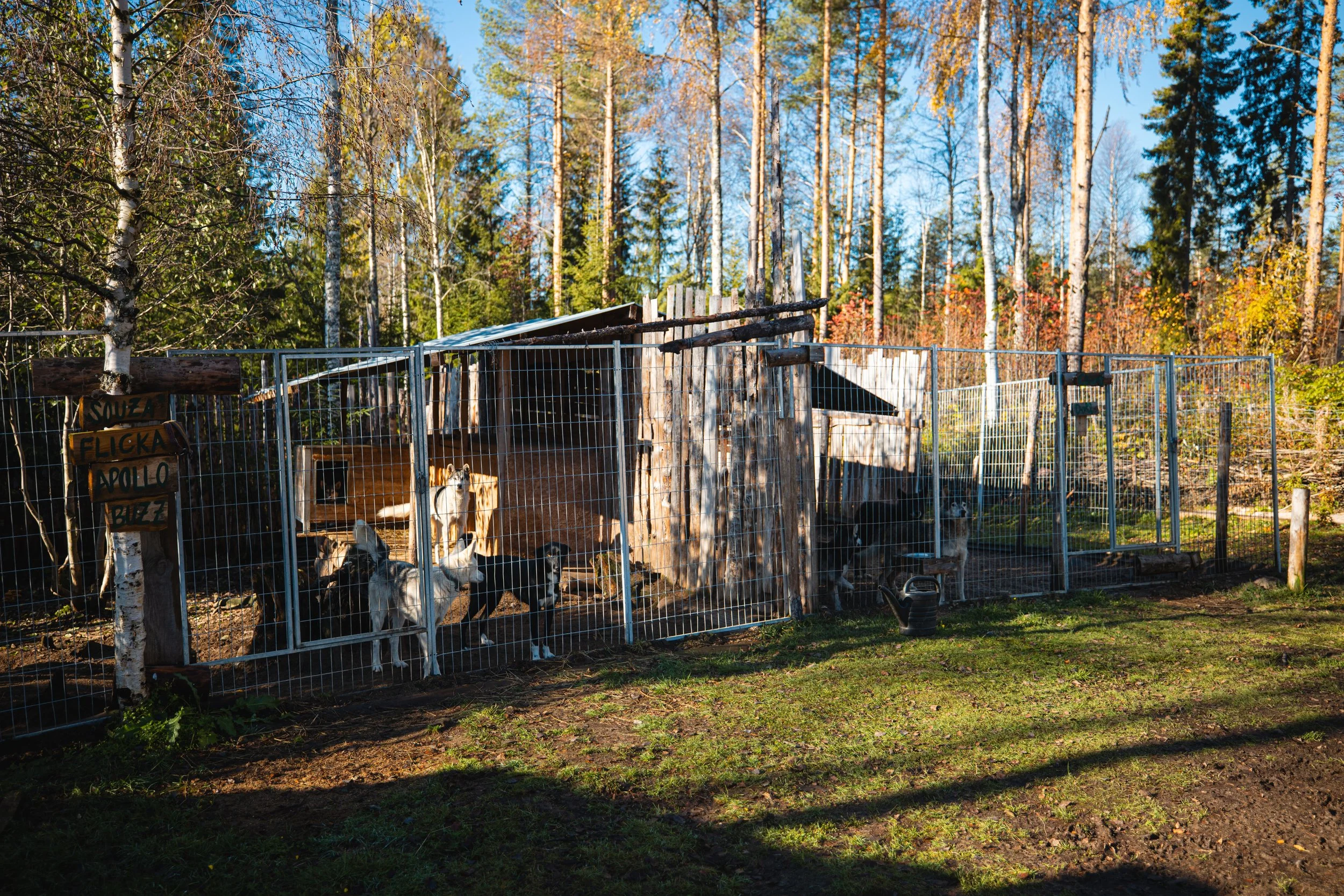 Ein Lebenshof voller Tierschutz, Herzblut und Charme, zu besuch bei Lapland adventures