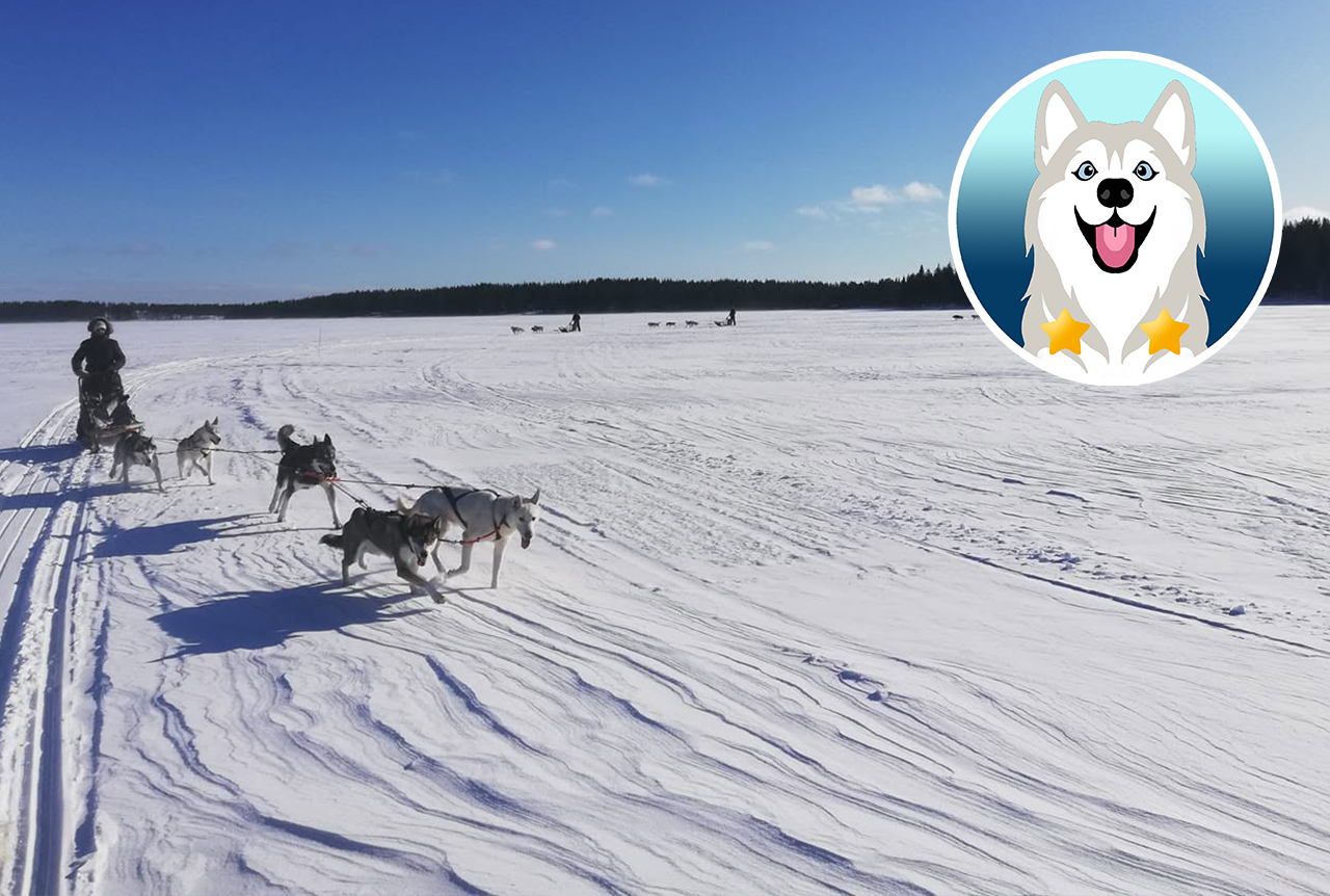 Kuusamo Wilderness - Overnight Tour