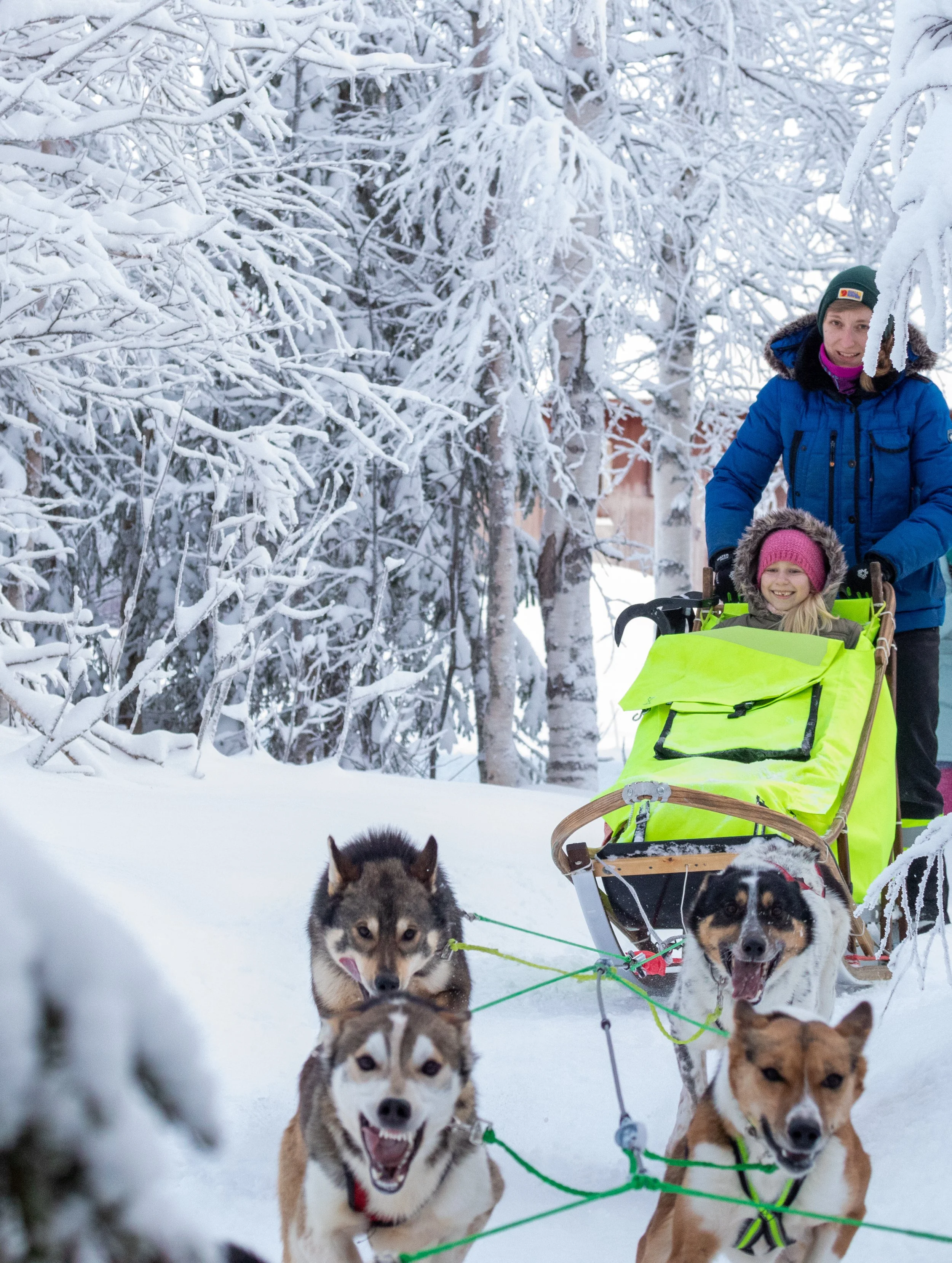 Zwei Menschen, ein Erwachsener in blauer Winterjacke und ein Kind mit Winterkleidung, unterwegs in verschneitem Wald mit mehreren Hundeschlitten und Huskys.