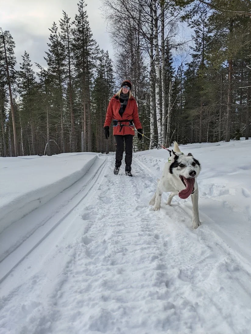 Eine Frau mit Sonnenbrille, roter Winterjacke und schwarzen Hosen läuft auf einem verschneiten Weg in einem Winterwald mit einem Husky-Schlittenhund, der die Zunge herausstreckt.