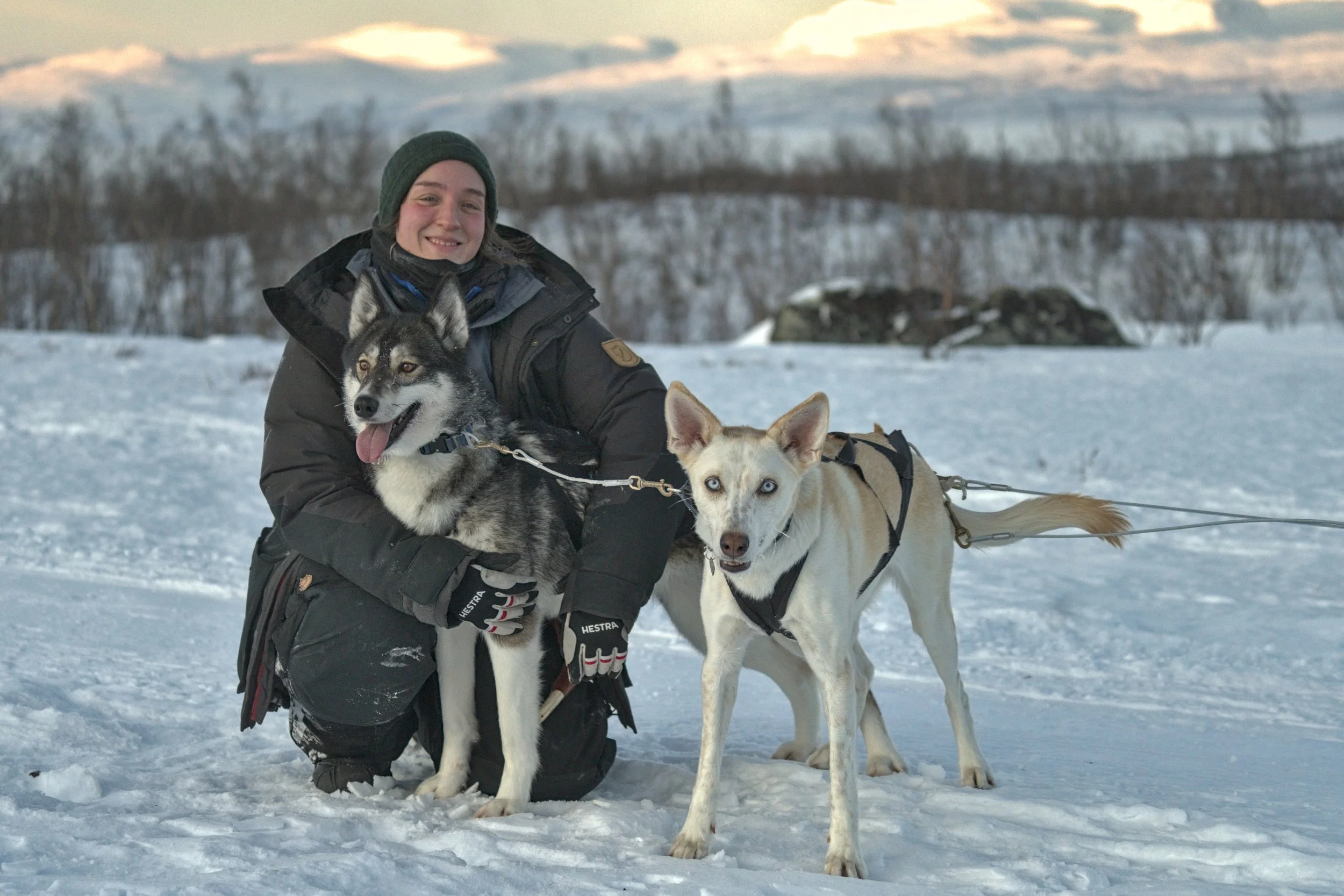 Eine Person in winterlicher Kleidung mit zwei Hunden auf Schnee in einer winterlichen Landschaft.