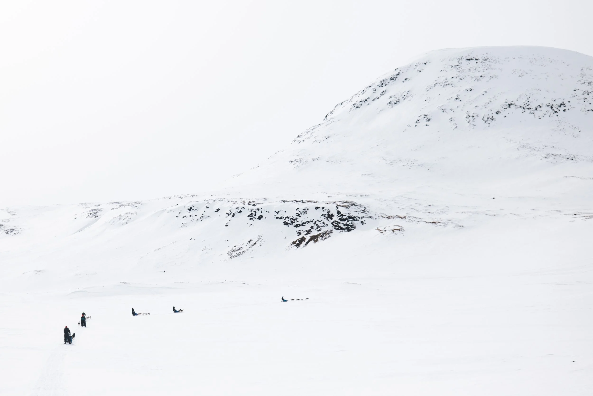 Schlittenhundeführer fahren durch eine  schneebedeckter Landschaft, große Berg im Hintergrund, winterliche Umgebung.