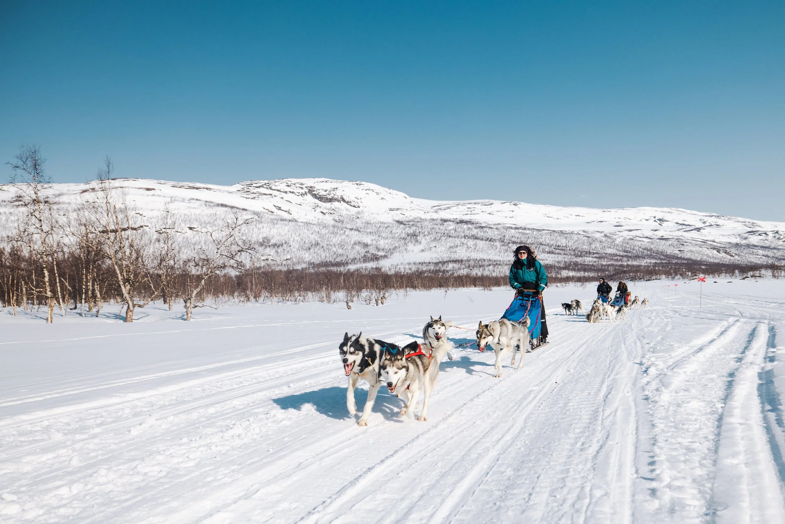 Person mit Winterkleidung fährt Hundeschlitten durch eine verschneite Landschaft mit Bergen im Hintergrund, mehrere Hunde ziehen den Schlitten, blauer Himmel.