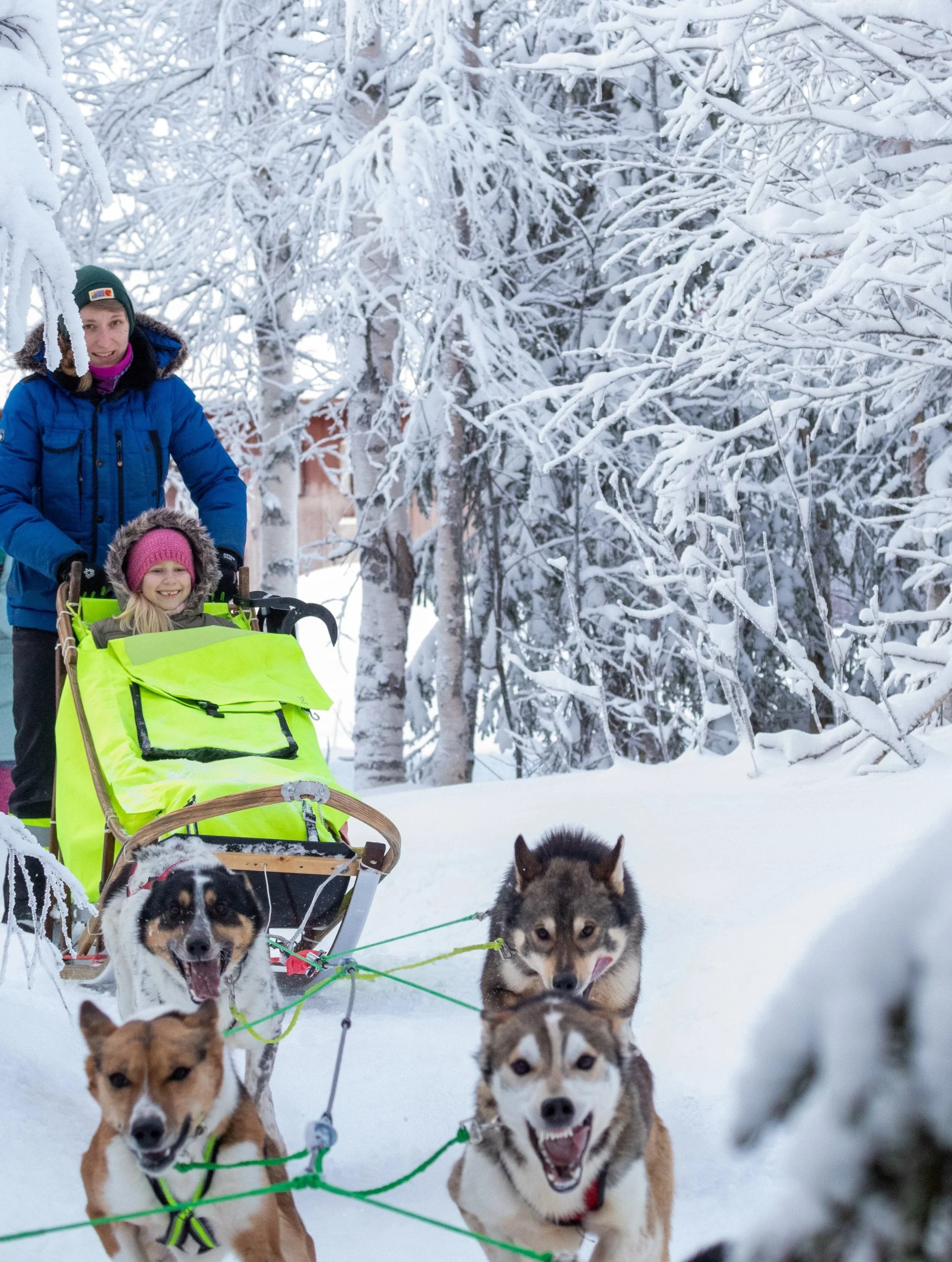 Zwei Hunde und zwei Kinder im Schneewald, Kinder ziehen Schlitten, Hunde laufen voraus.