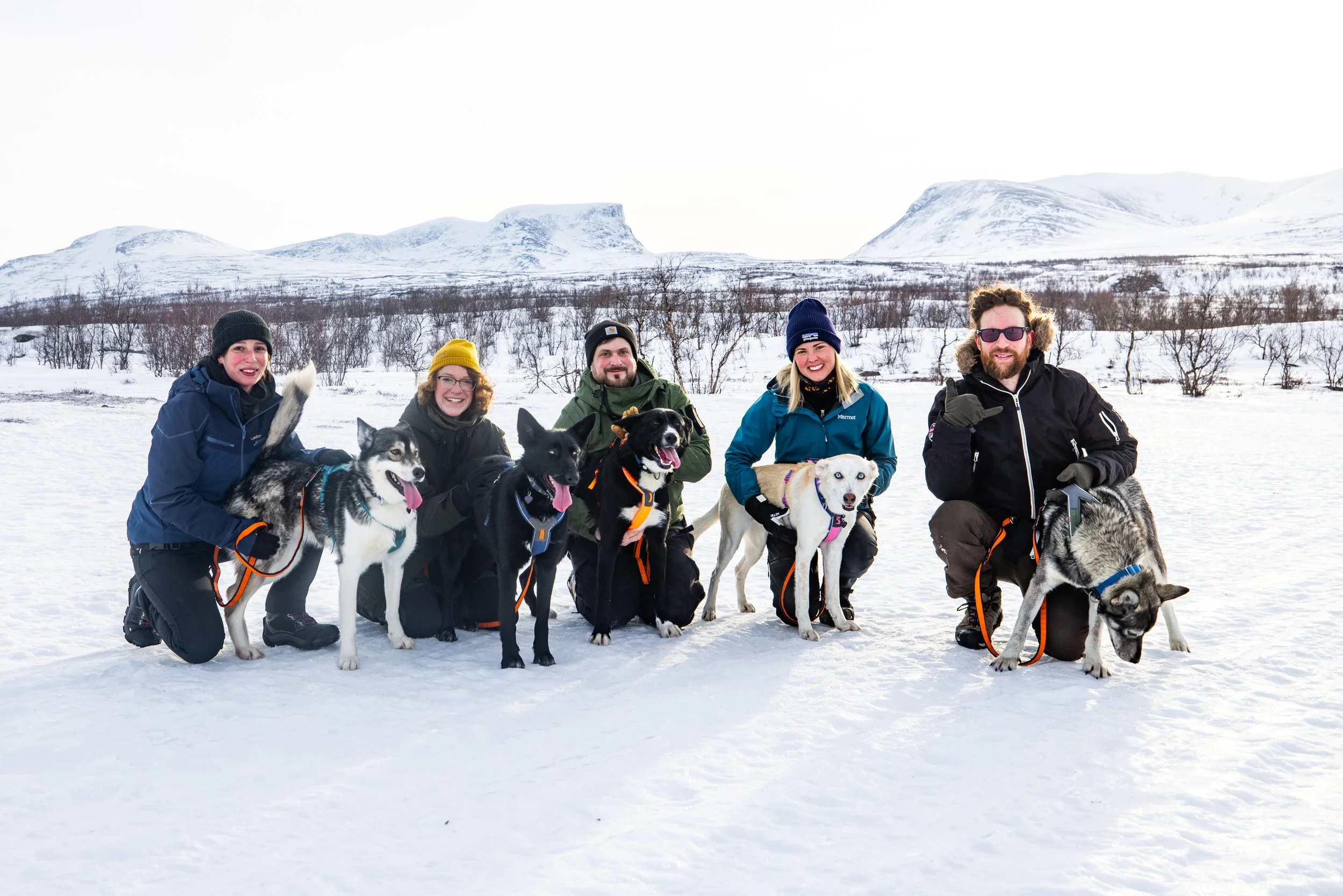 Eine Gruppe von sechs Menschen und mehreren Huskys in verschneiter Winterlandschaft mit Bergen im Hintergrund.