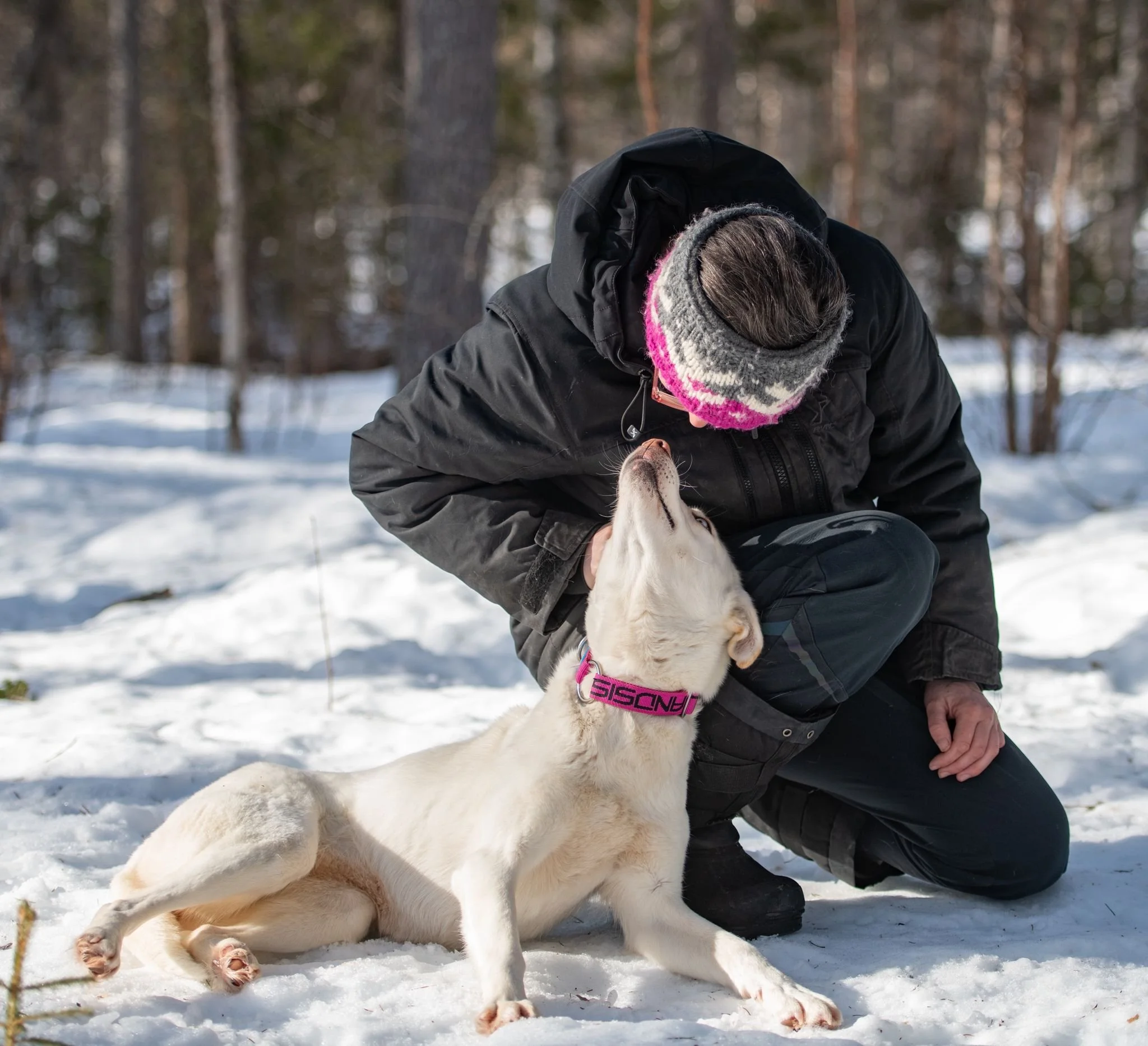 Eine Person mit braunem Haar, die einen schwarzen Mantel und eine grauschwarz-pinke Mütze trägt, ist im Schnee in einem Wald und hält ein weißes Welpenhündchen mit schwarzen Ohren und braunen Pfoten in den Armen, während der Hund Blickkontakt zur Person hat.