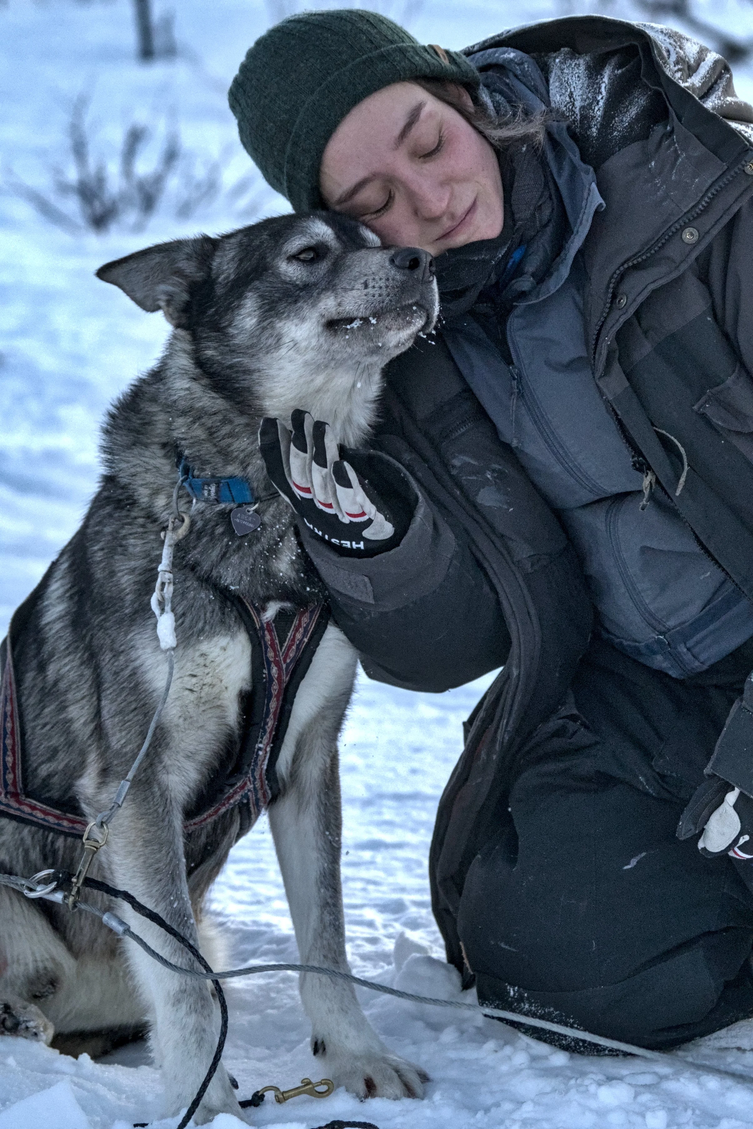 Junge Person mit Hund im Schnee, beide mit geschlossenen Augen, der Hund trägt ein Halsband und Geschirr, der Mensch trägt eine schwarze Jacke und Mütze, im Hintergrund verschneite Bäume.