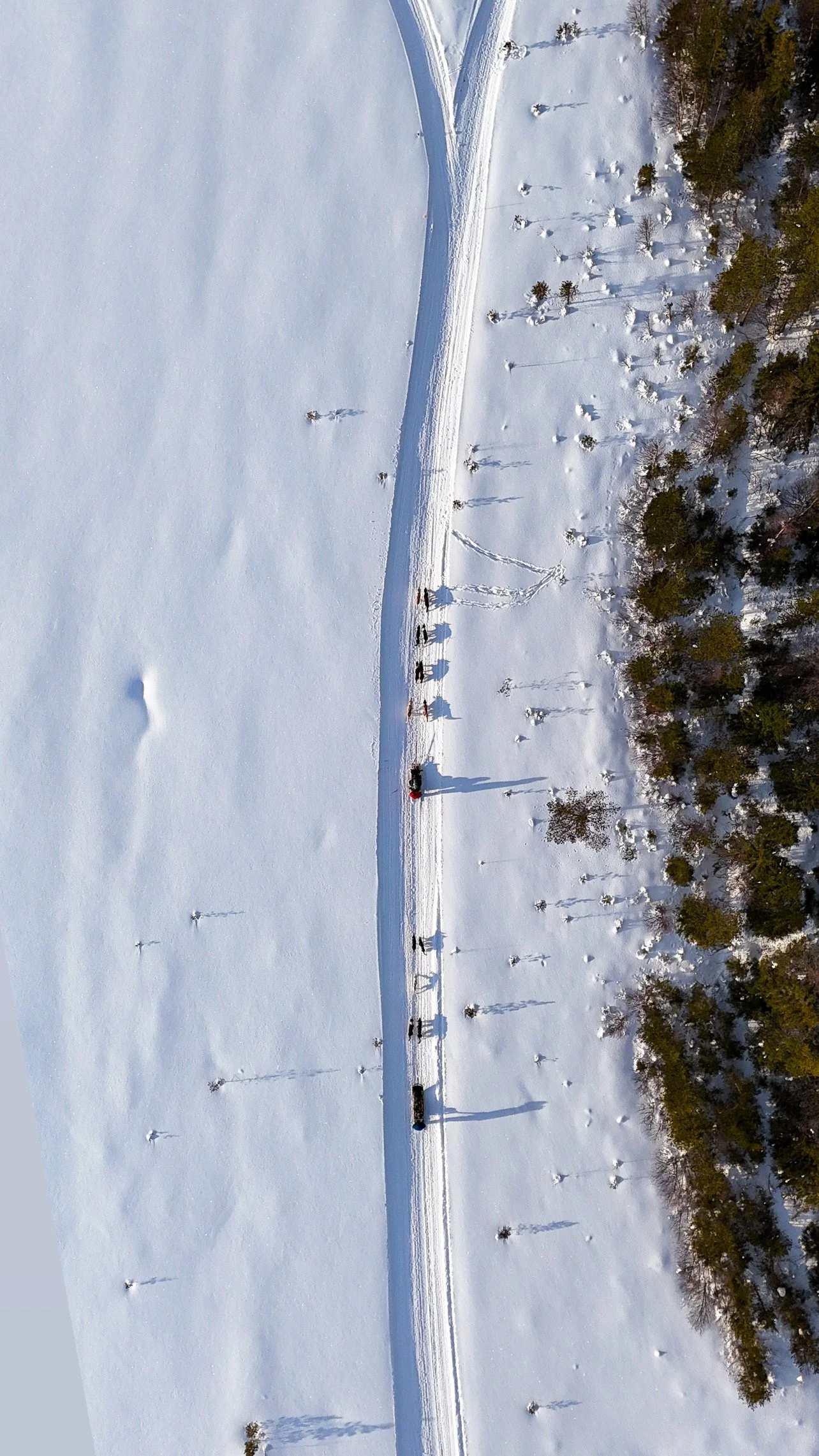 Eine verschneite Landschaft mit einem geraden Weg und einigen im Schnee gezogenen Schlitten, umgeben von Bäumen.