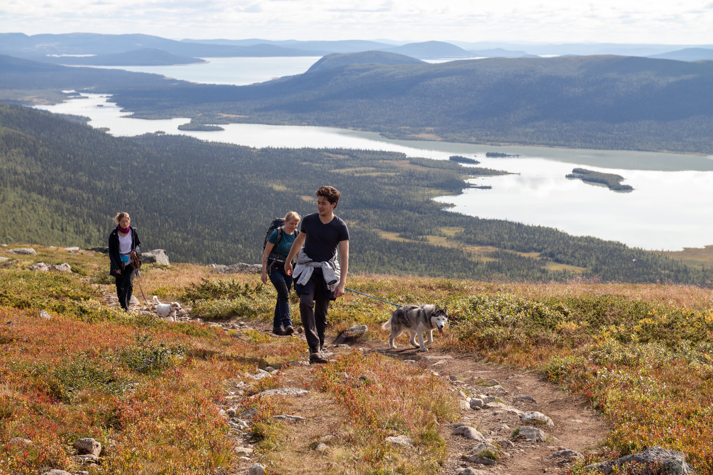 Gruppe von Wanderern mit Hunden auf einem Bergpfad mit Blick auf einen See und Berge im Hintergrund inmitten einer herbstlichen Landschaft.