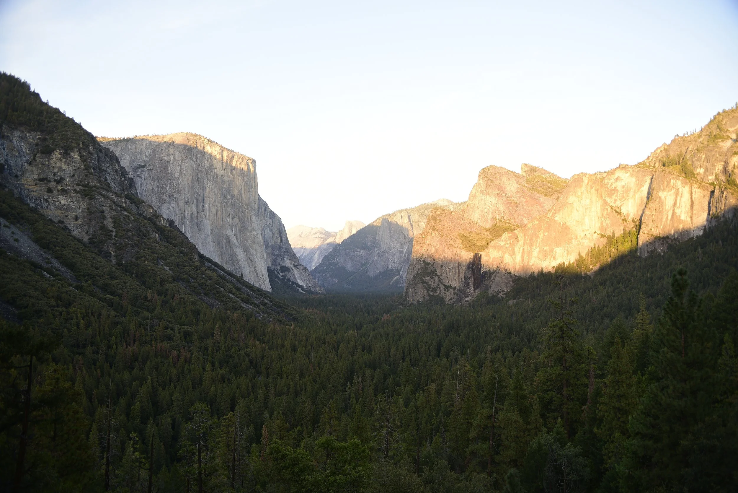 _DSC6034.JPG