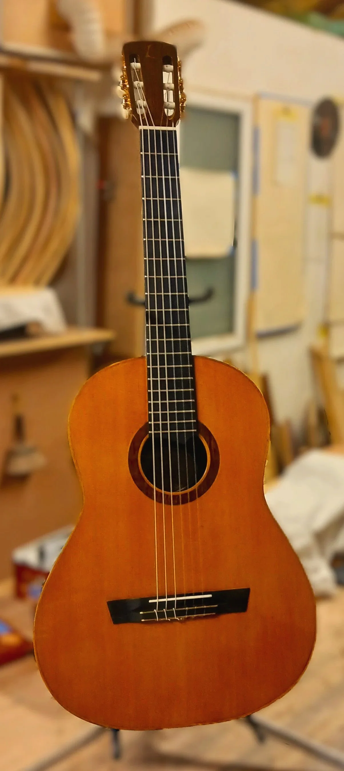 A small acoustic guitar with a natural wood finish, black fingerboard, and nylon strings, standing upright in a room.