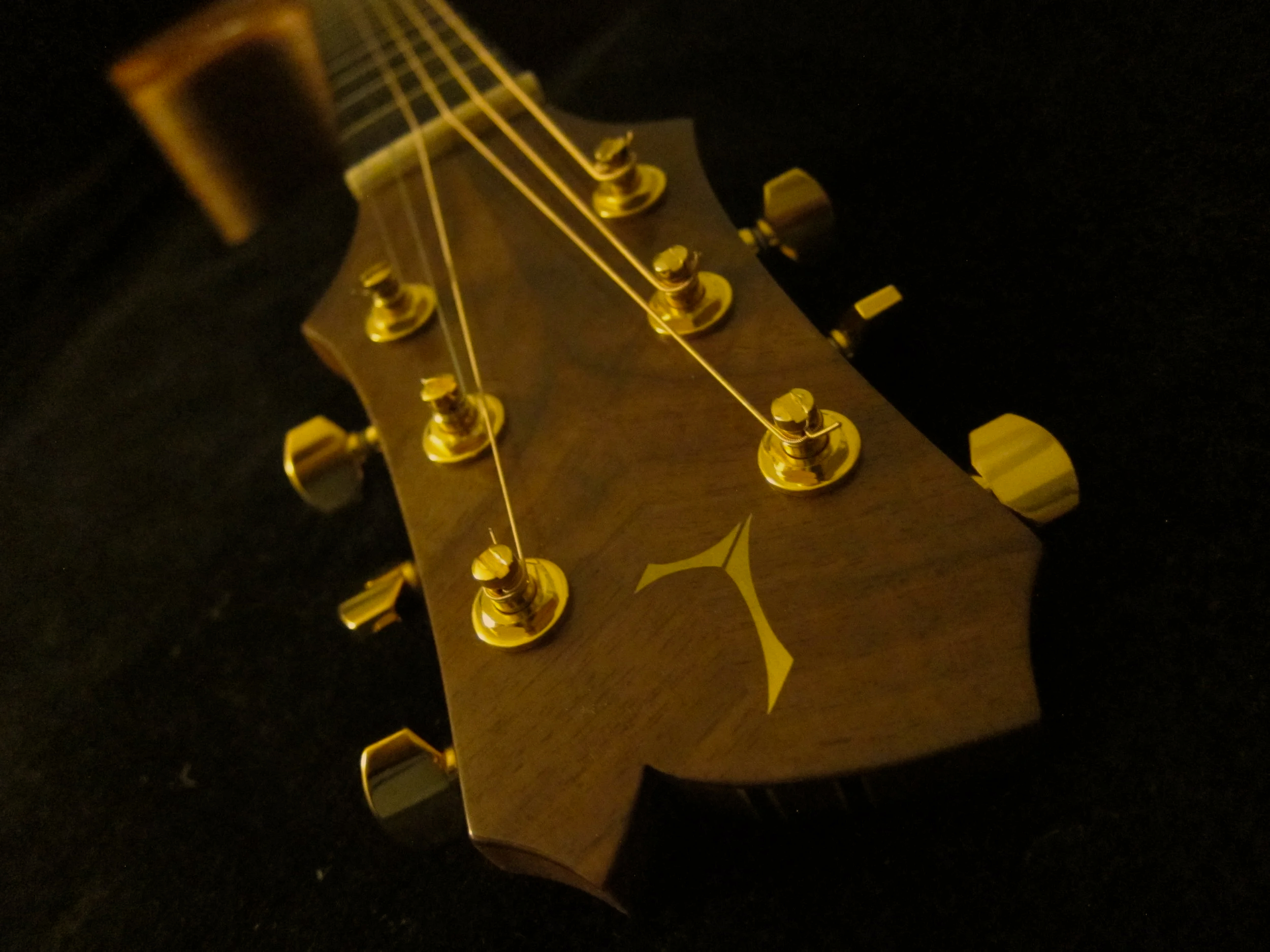 Close-up of a guitar headstock with gold tuning pegs and string, against a black background.