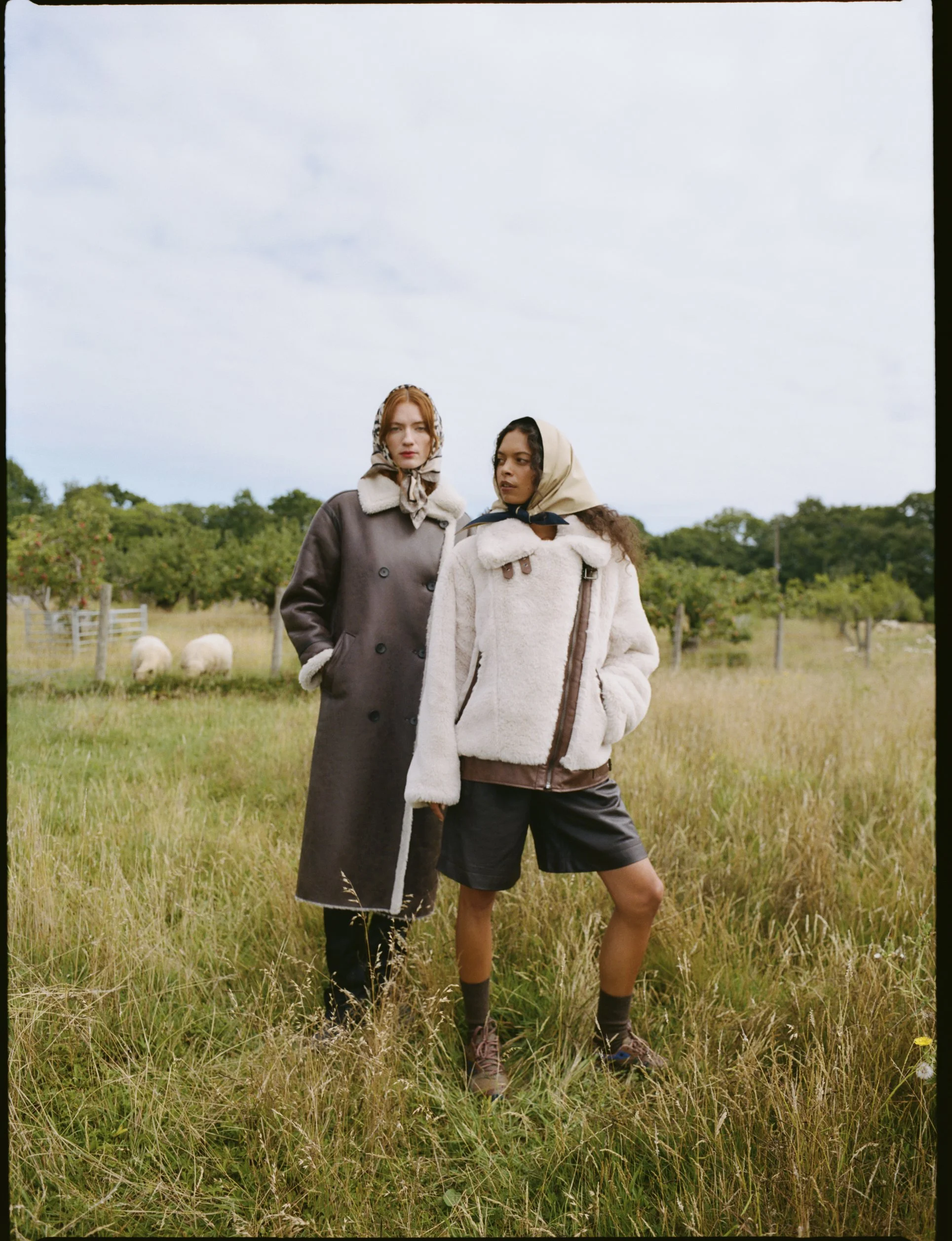 FILM IMAGES_0257_3.jpg