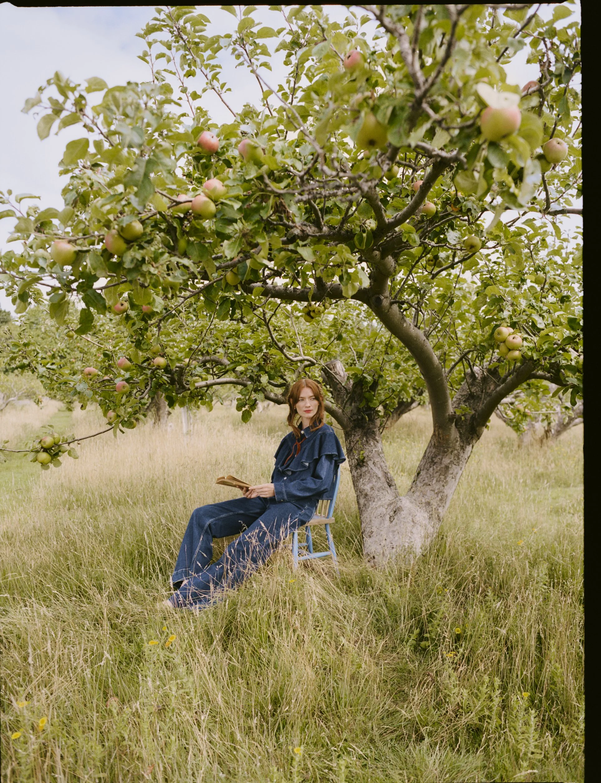 FILM IMAGES_0267_2.jpg