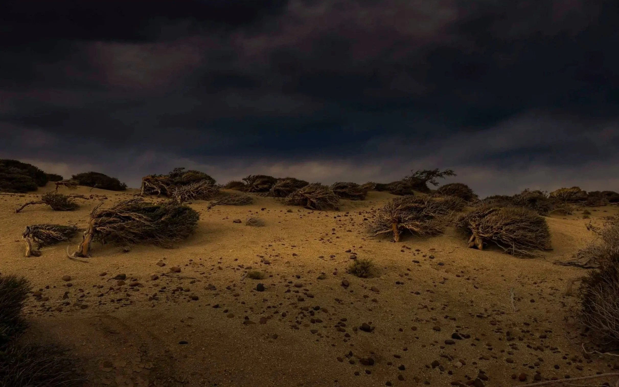 The Sculpted Desert