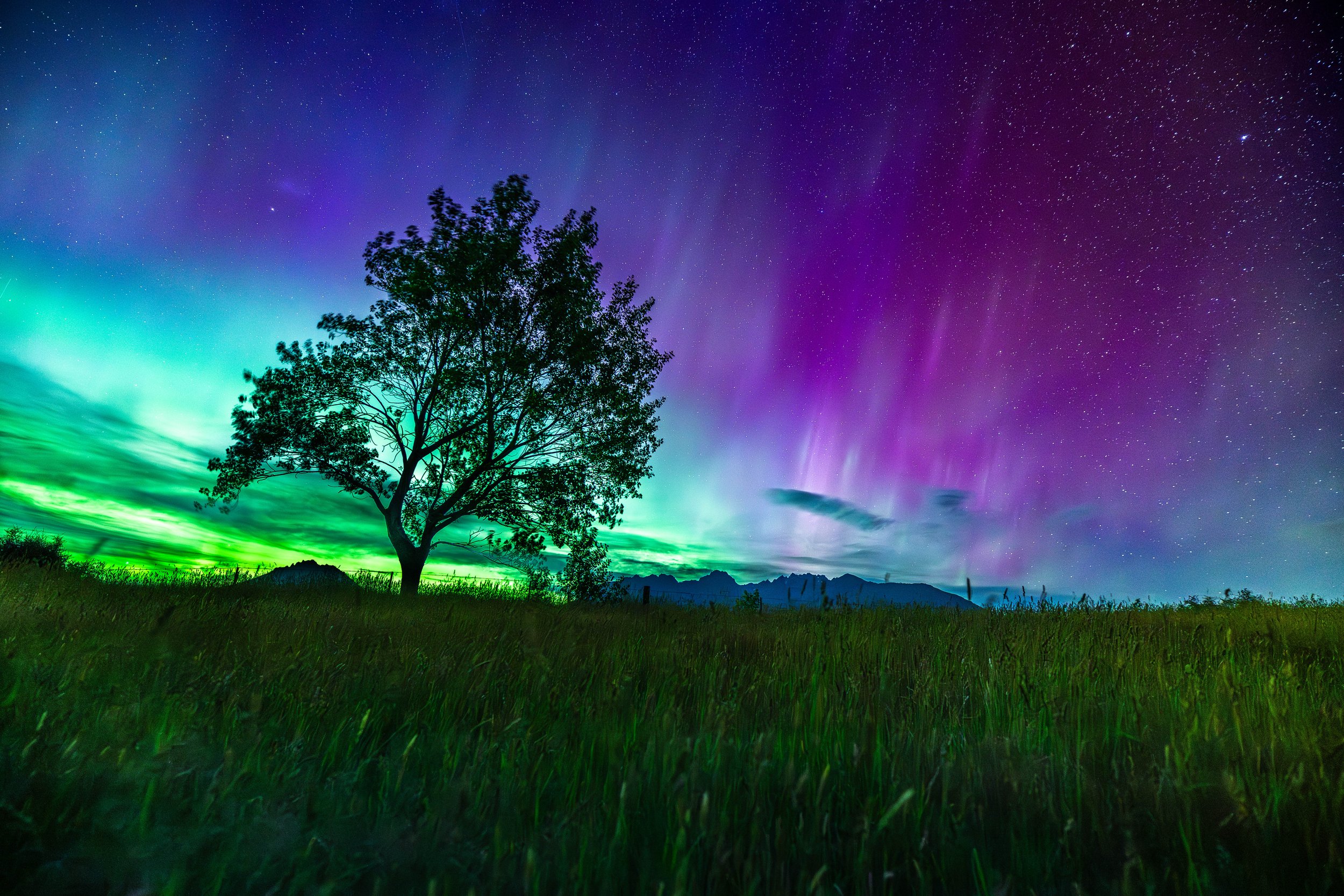 Thought the Sky - Aurora Australis Fine Art Print