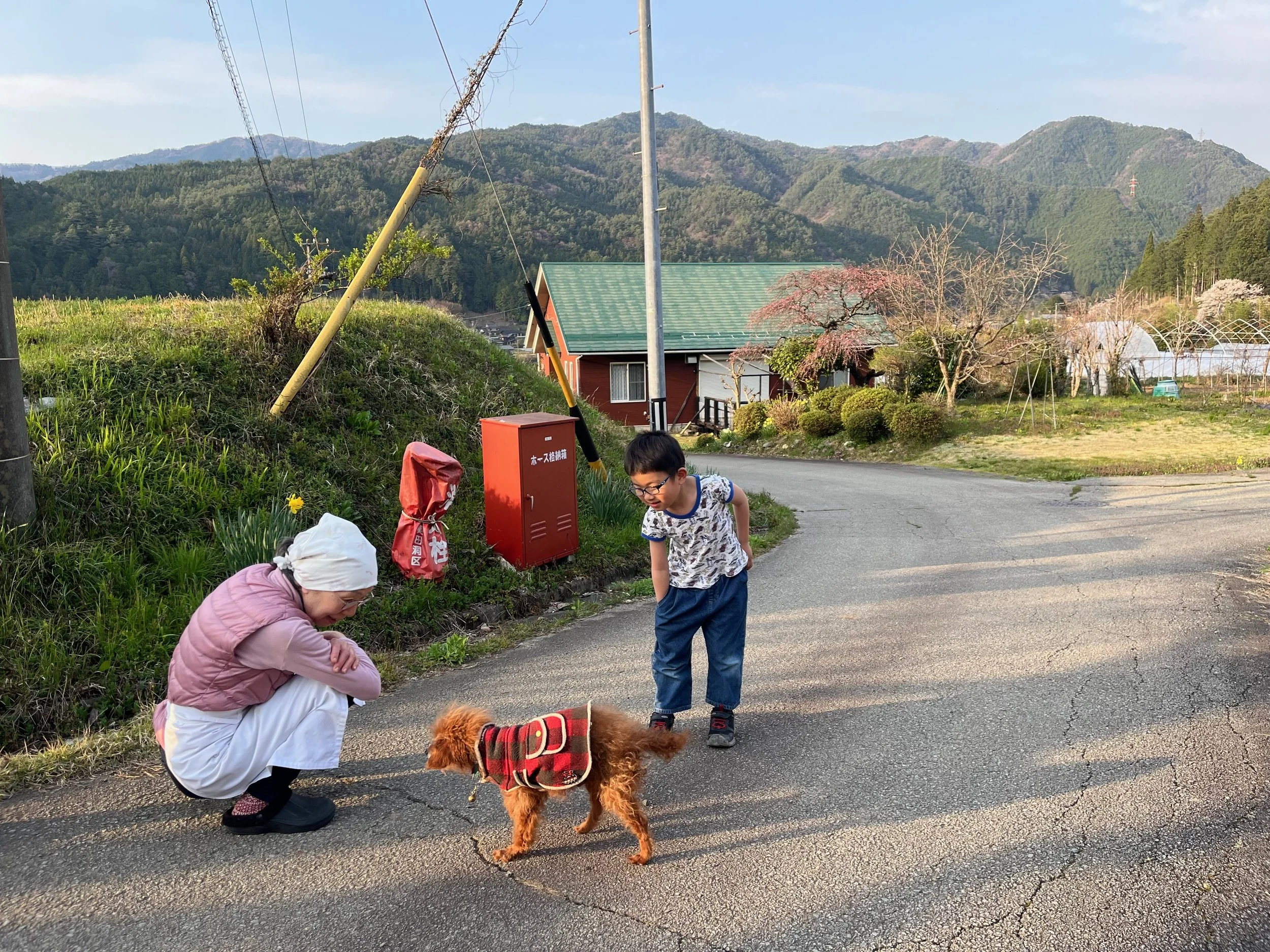 A woman kneeling and a young boy standing on an outdoor road, looking at a small brown dog wearing a red plaid coat, with green hills and houses in the background during late afternoon.