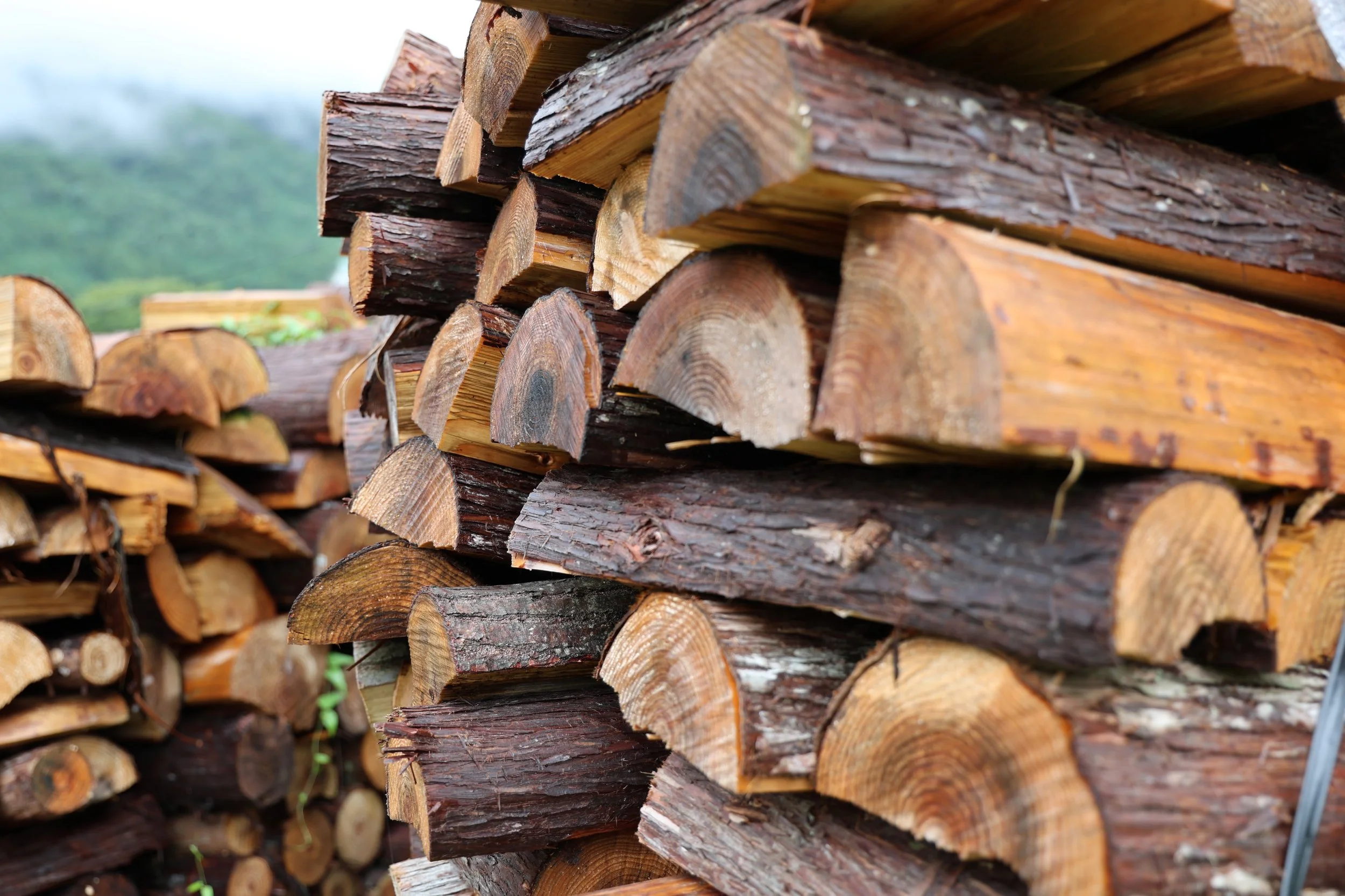 Stacks of cut and stacked firewood logs outdoors with a mountain and cloudy sky in the background.