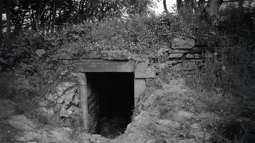 An old, abandoned underground tunnel entrance made of stone and wood in a natural setting, surrounded by grass and trees.