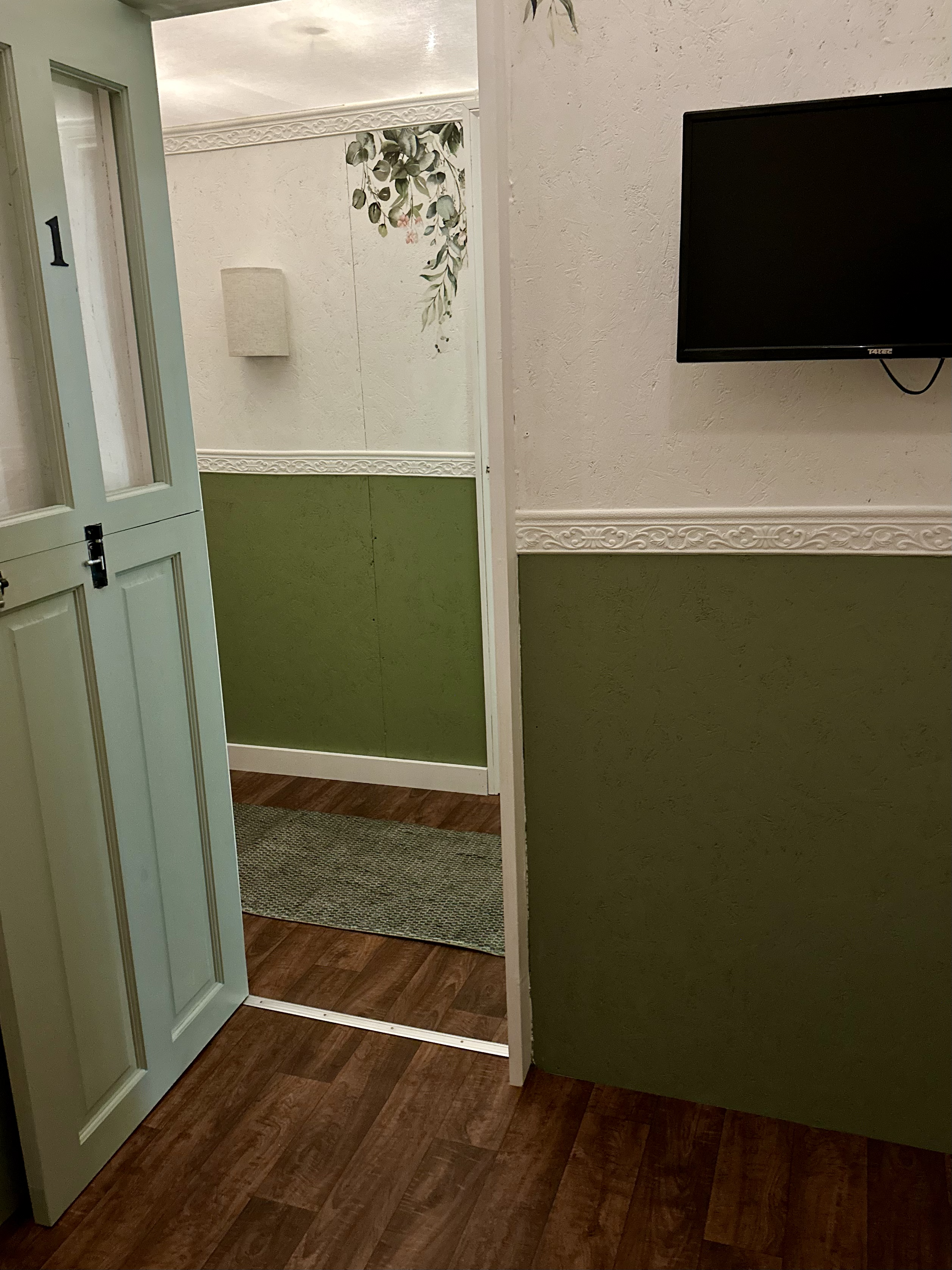 tv in dog hotel room