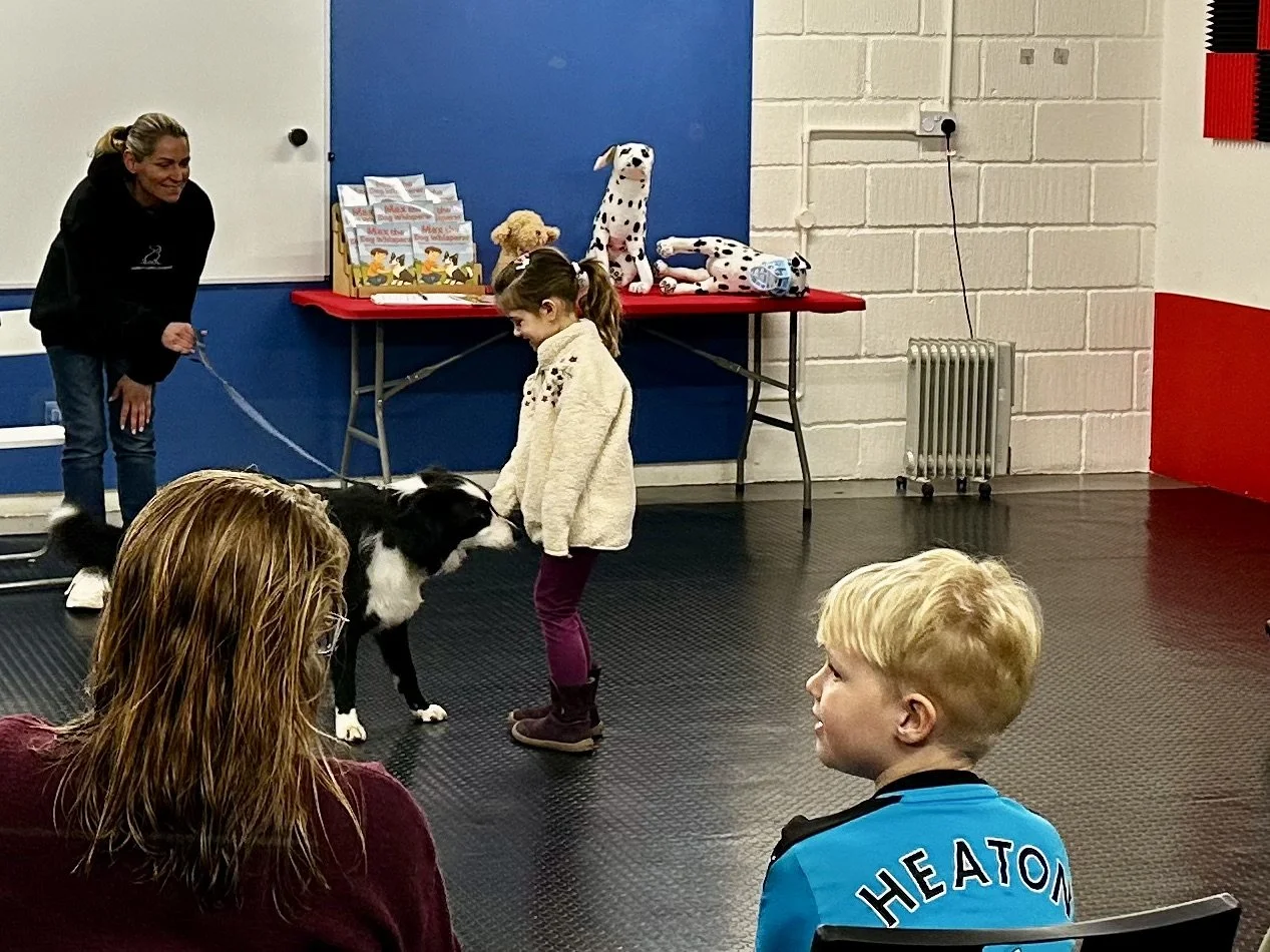 A girl interacts with a black and white dog in a room with a red table, stuffed animals, copies of a booklet, and several seated and standing people observing the scene.