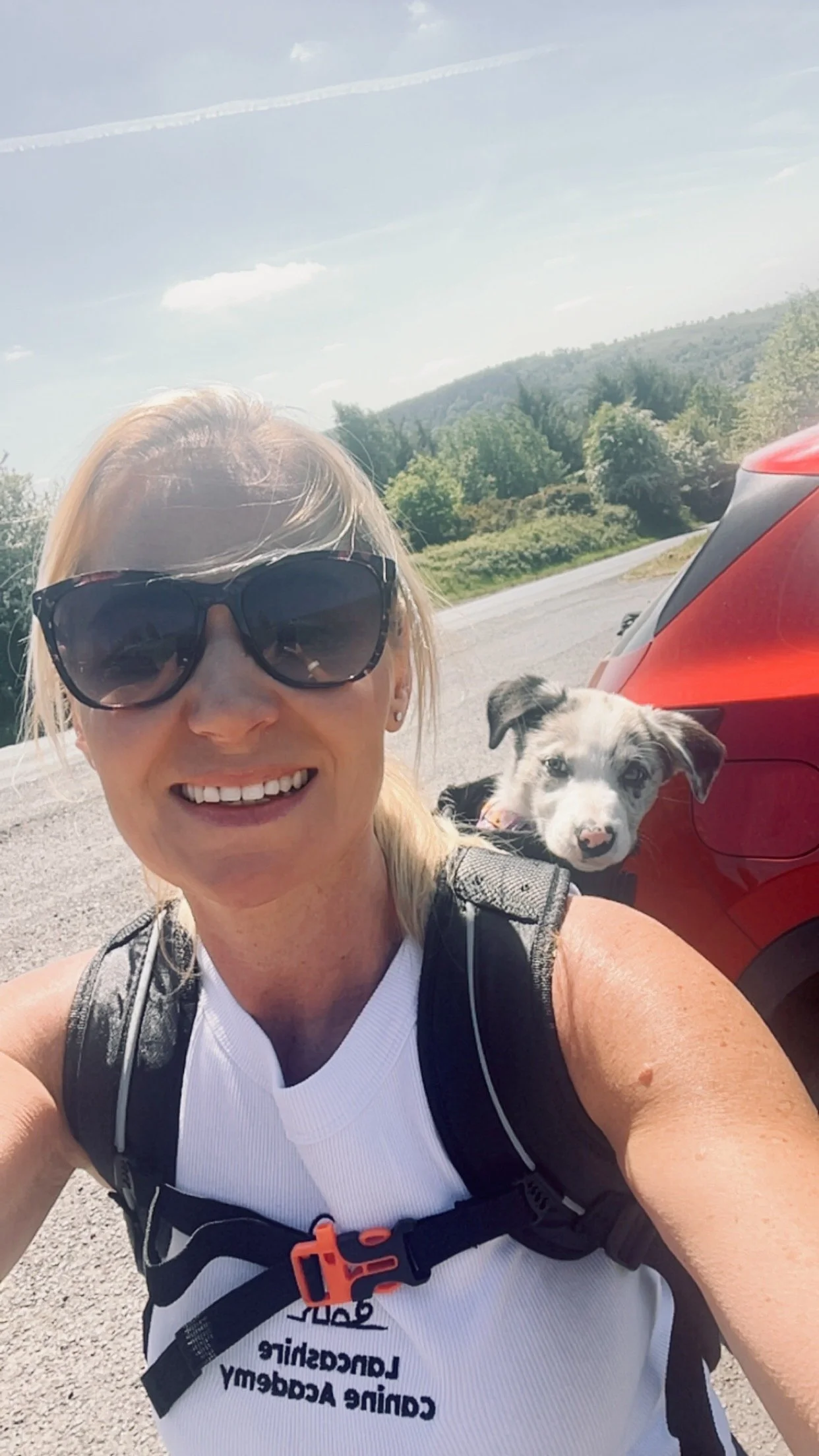 socialisation training walks