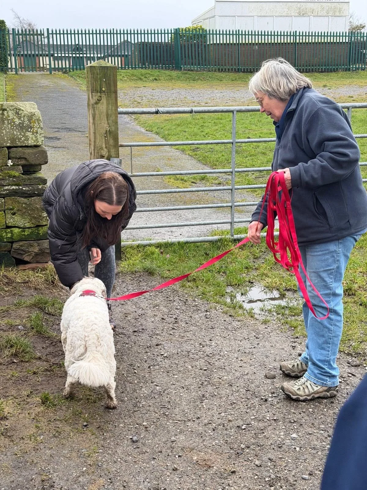 Mantrailing Accrington