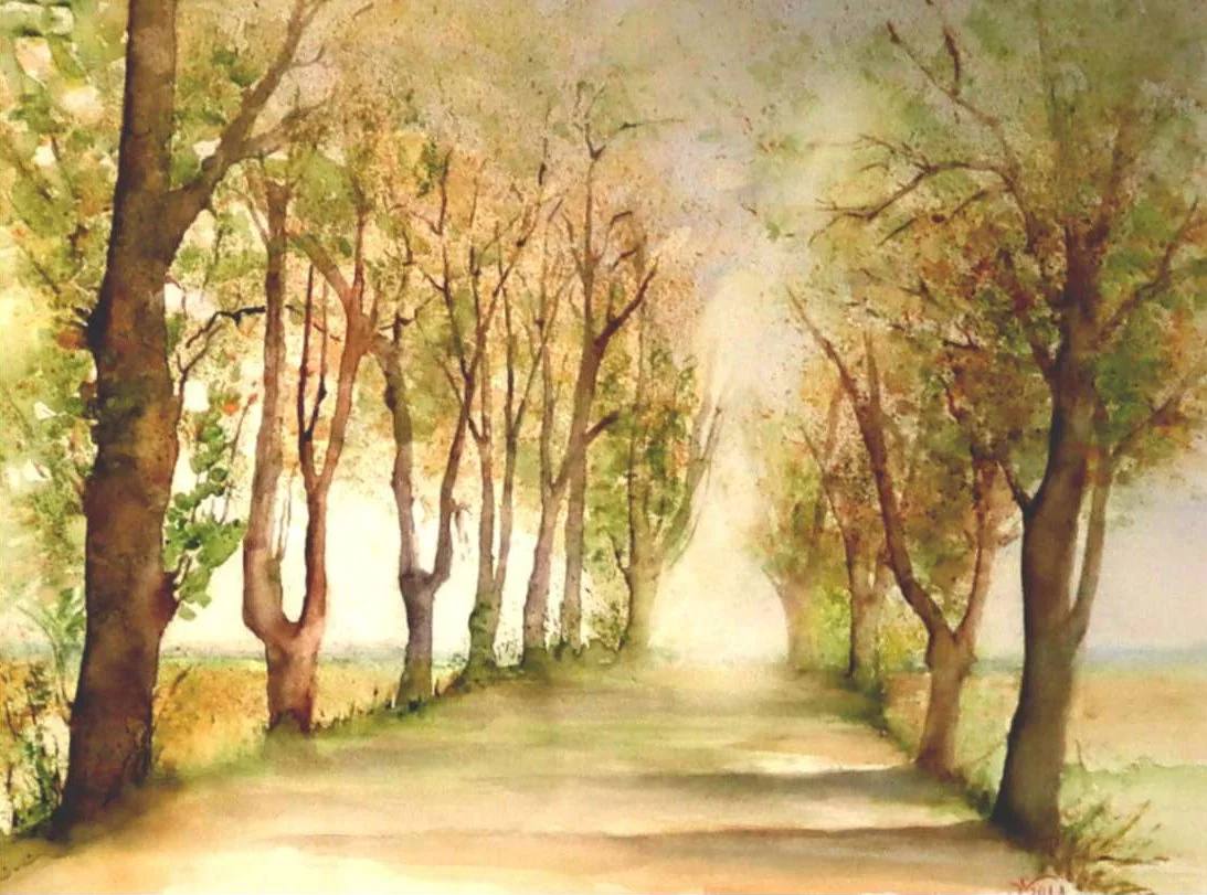 Ein malerischer Baumweg mit Bäumen auf beiden Seiten, der in der Ferne verschwindet.