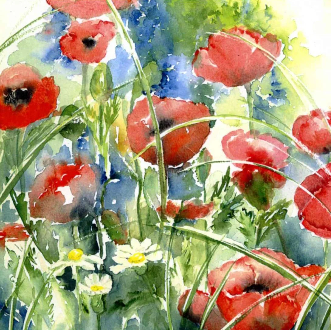 Aquarellbild mit roten Mohnblumen, weißen Gänseblümchen, grünen Gräsern und Blättern, mit blauen und grünen Hintergründen.