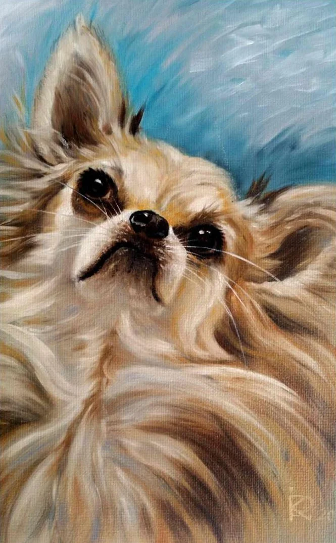 A painting of a small, fluffy dog with large ears and dark eyes against a blue background.