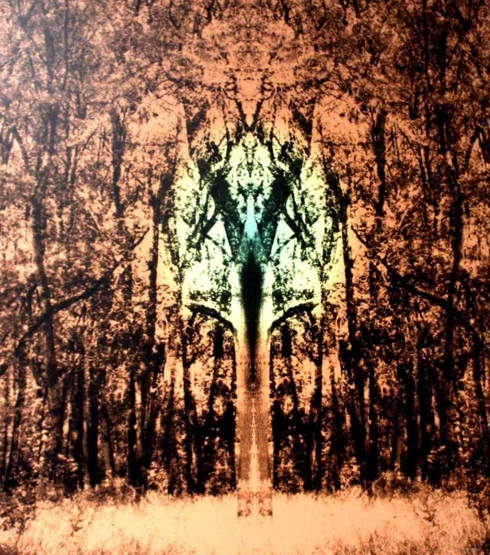 Symmetrische Bearbeitung eines Waldes, die eine mandalaartige Form und ein Gesicht im Zentrum bildet.