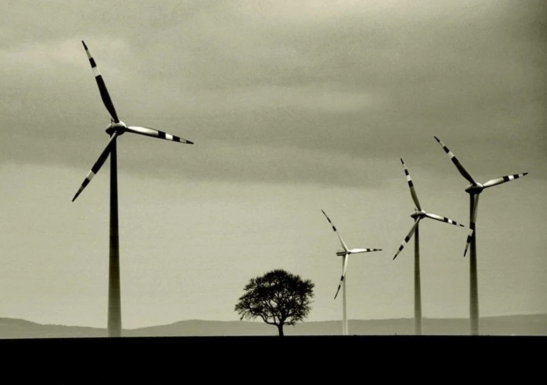 Ein Bild von Windrädern, einem Baum und einem hügeligen Landschaft im Hintergrund, aufgenommen in Schwarz-Weiß.
