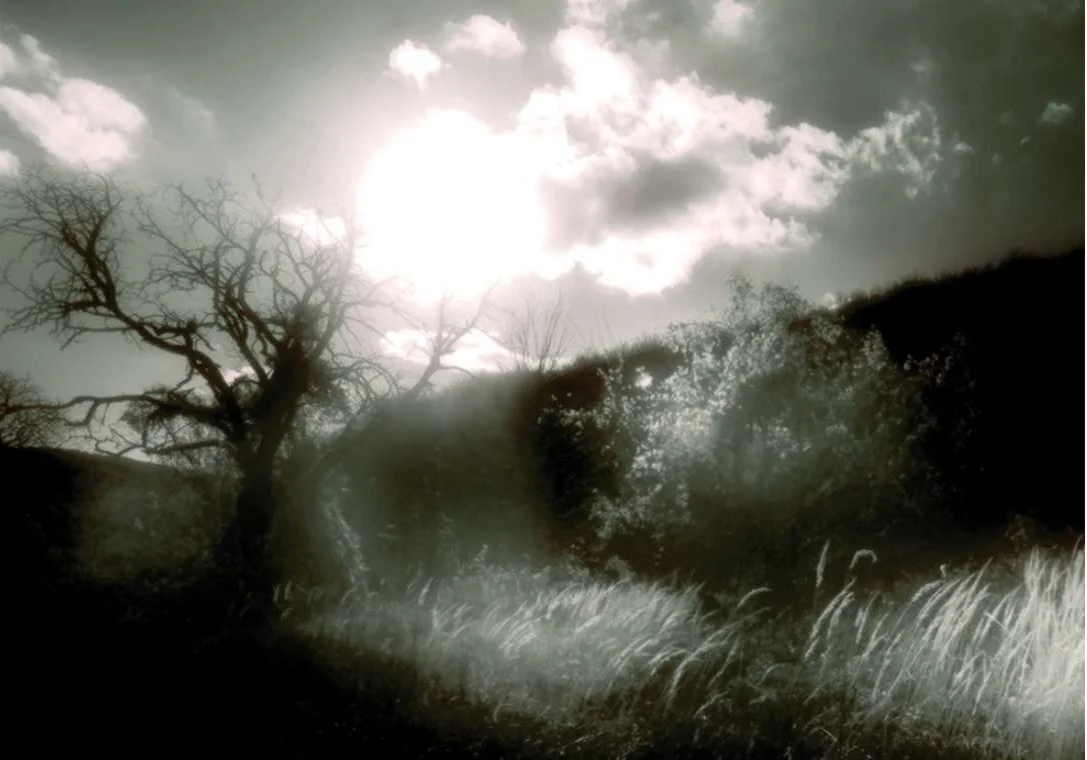 Eine surreal wirkende Landschaft mit einem großen Baum, trockene Äste, eine düstere Wolkendecke und eine leuchtende Sonne oder den Mond, die durch die Wolken scheint, sowie eine dunkle, menschenähnliche Silhouette im Vordergrund.