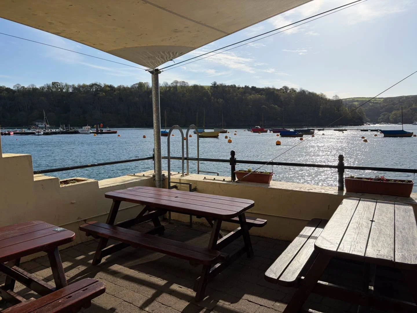 Another beautiful day in our little corner of the world! 
Kids are back at school today, so a bit of peace &amp; quiet for a few hours 😊